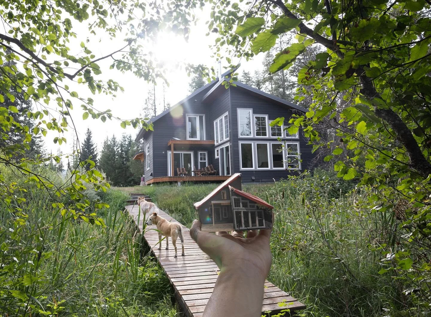 tomorrow&rsquo;s the two year anniversary of one of the most horrific days of my life. 

i was filled to the brim with gratitude for our quaint little home. we had finally felt so settled in our nest, when nearly everything was taken from us (includi