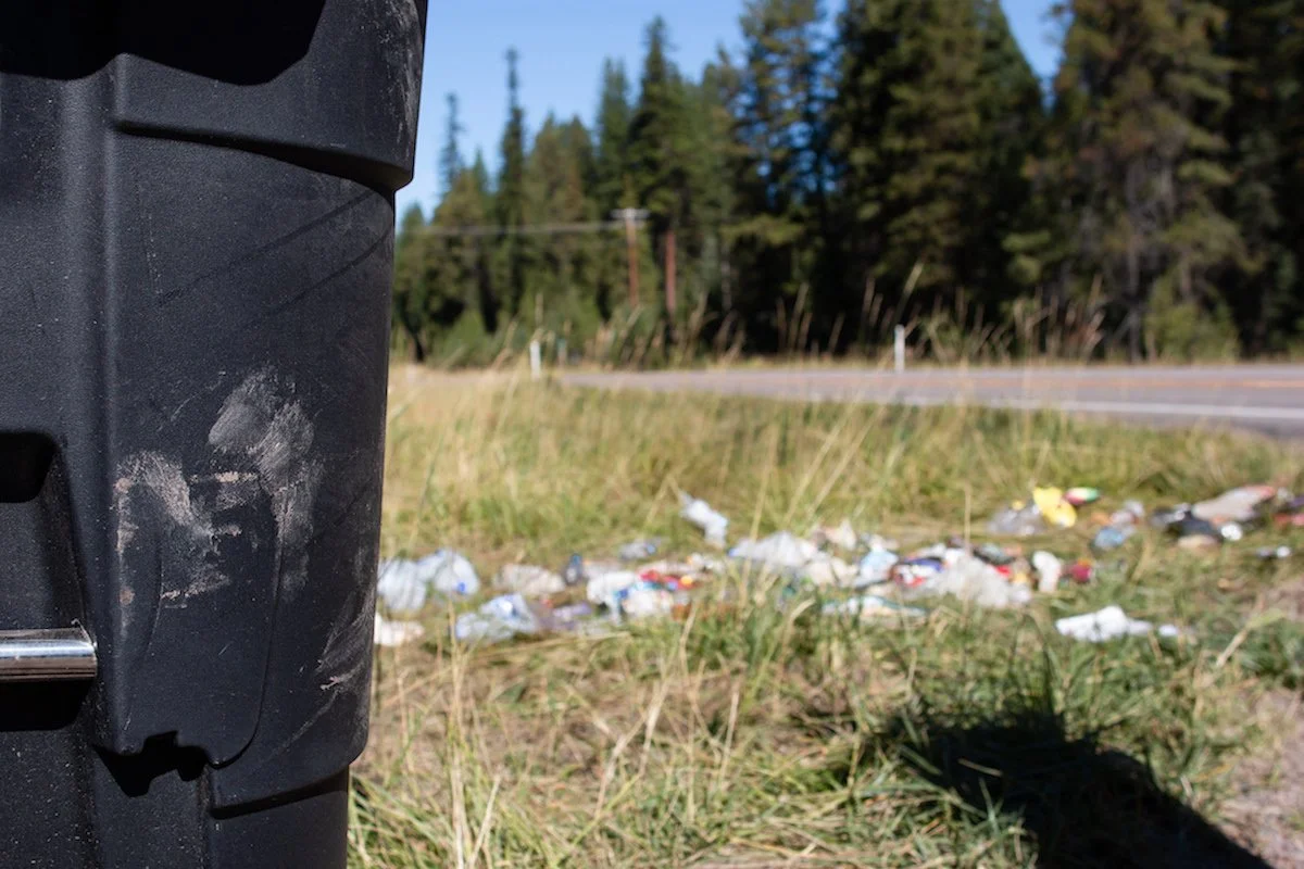 Bear Trash Along Hwy 83.jpg