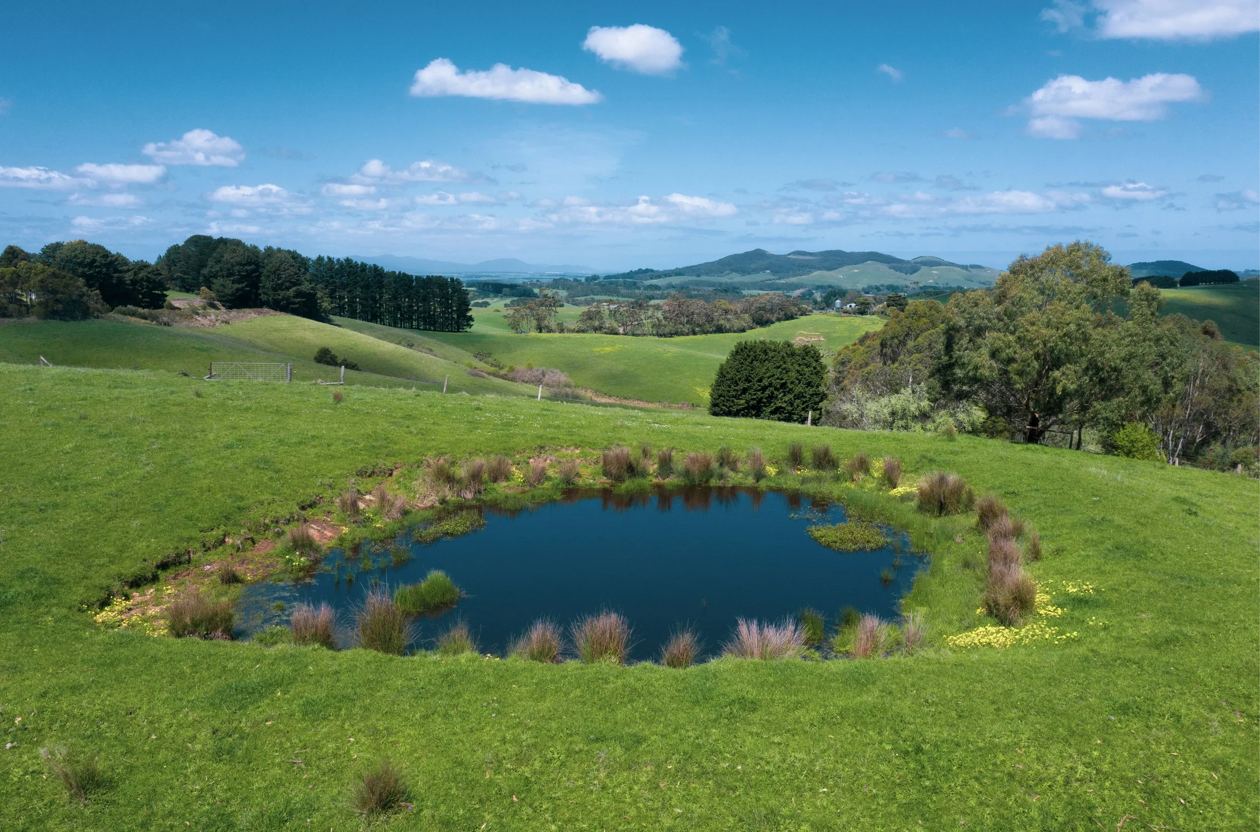 Arnups Road Farm Pics_22.jpg