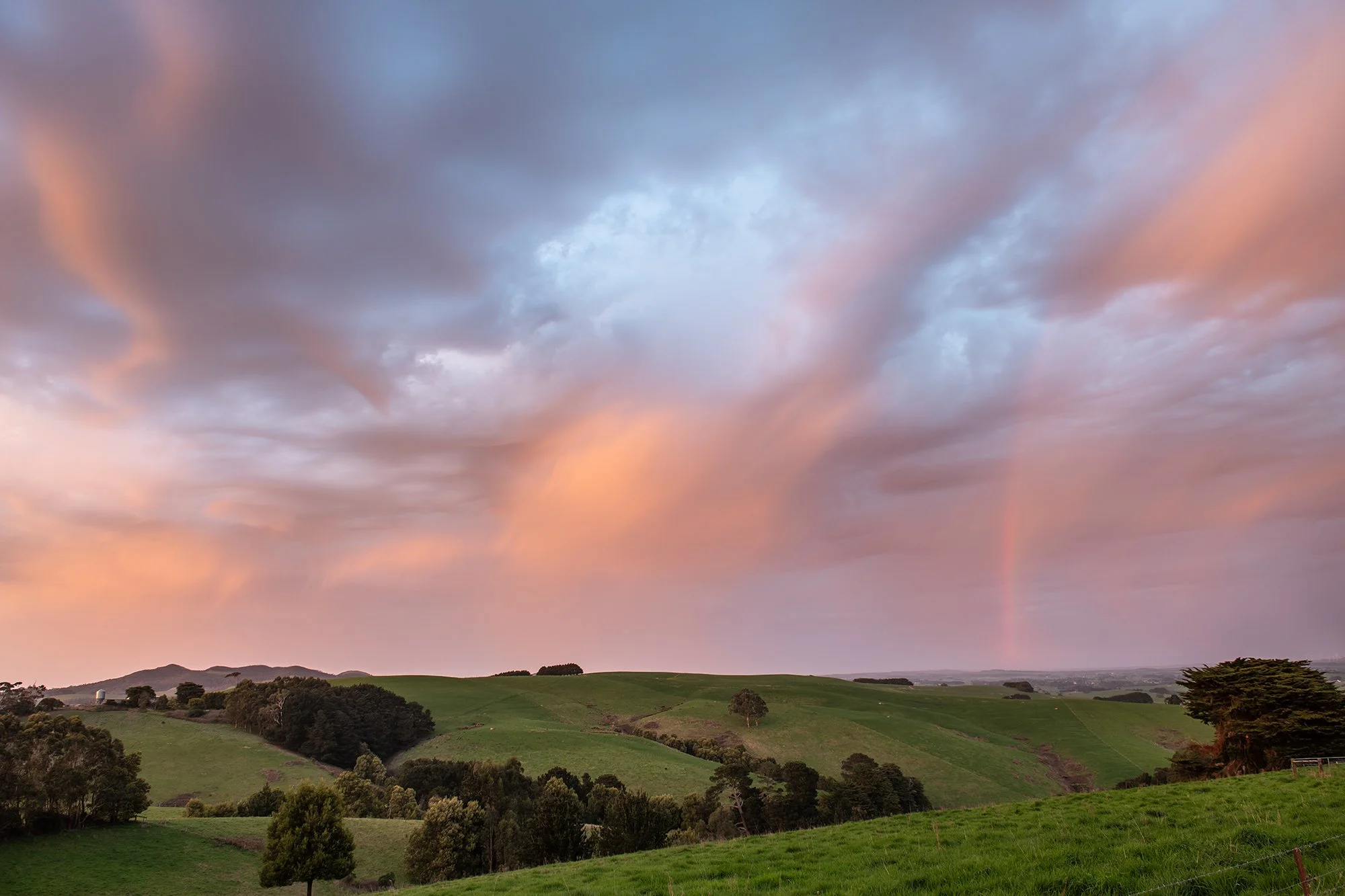 D85_2949-Edit copylr.jpg