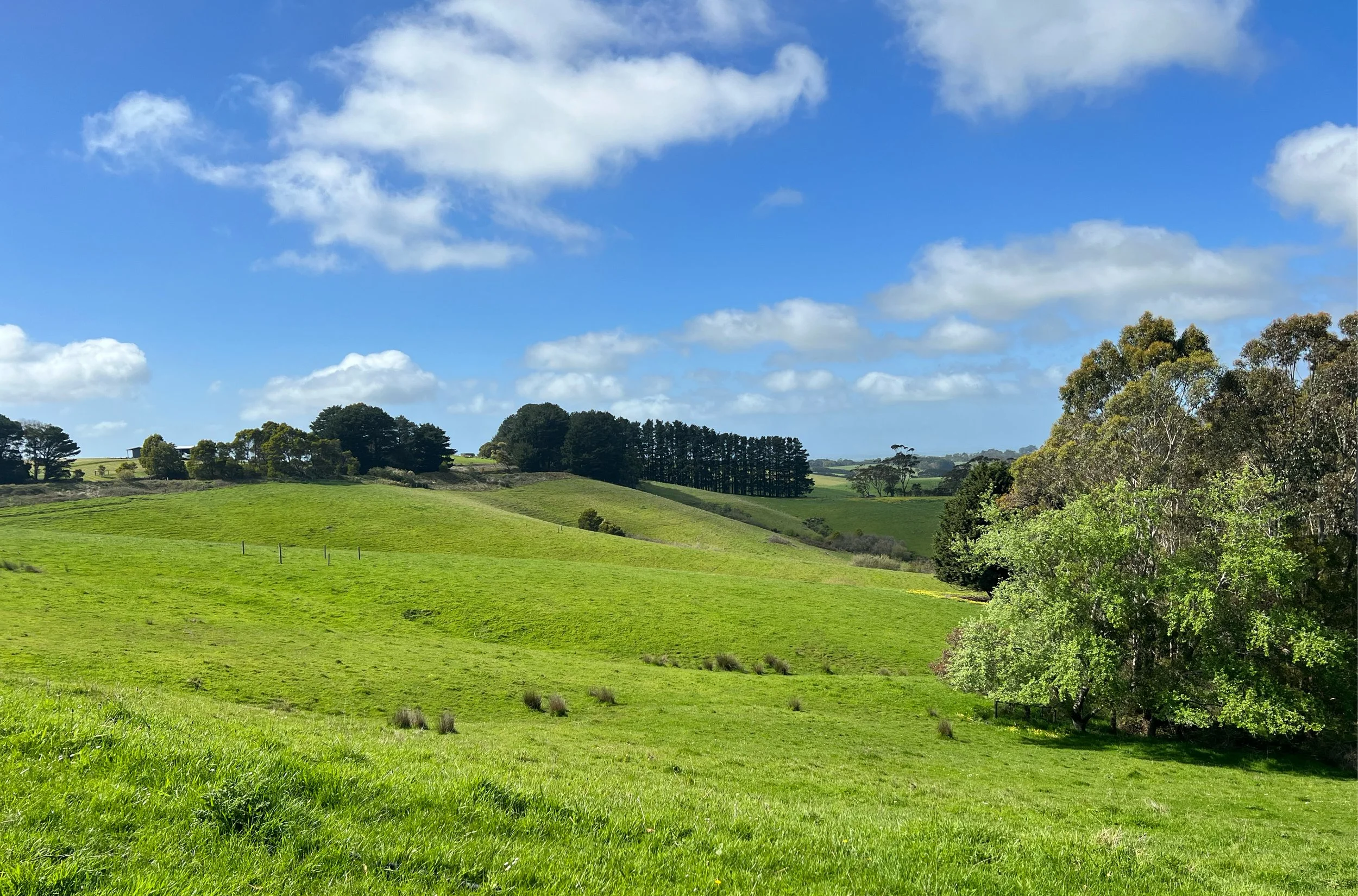 Arnups Road Farm Pics_21.jpg