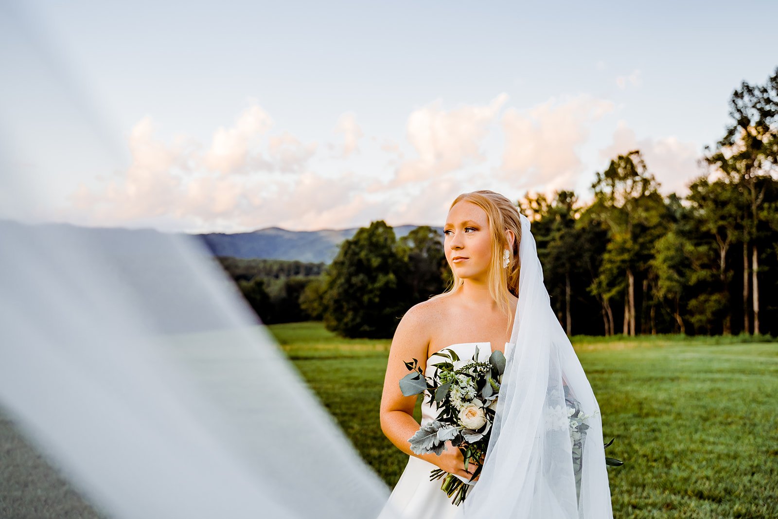 MSP06036-Edit-Edit.jpg
