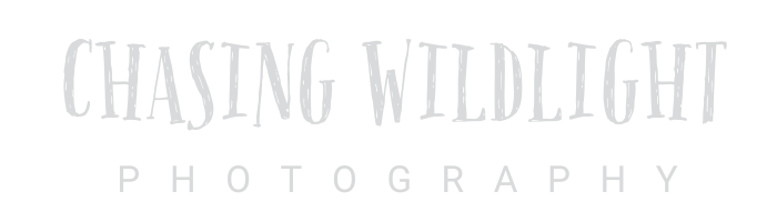 Jessica Leighanne Photography