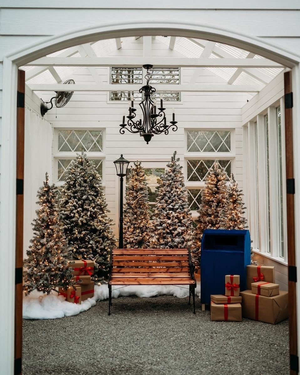 A spot has opened up for Holiday Minis tomorrow ! Click the link in my stories to grab it !