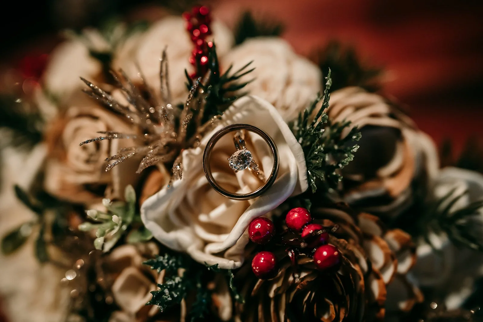 DSC06480_websize (1).jpg