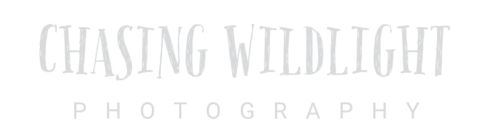 Jessica Leighanne Photography