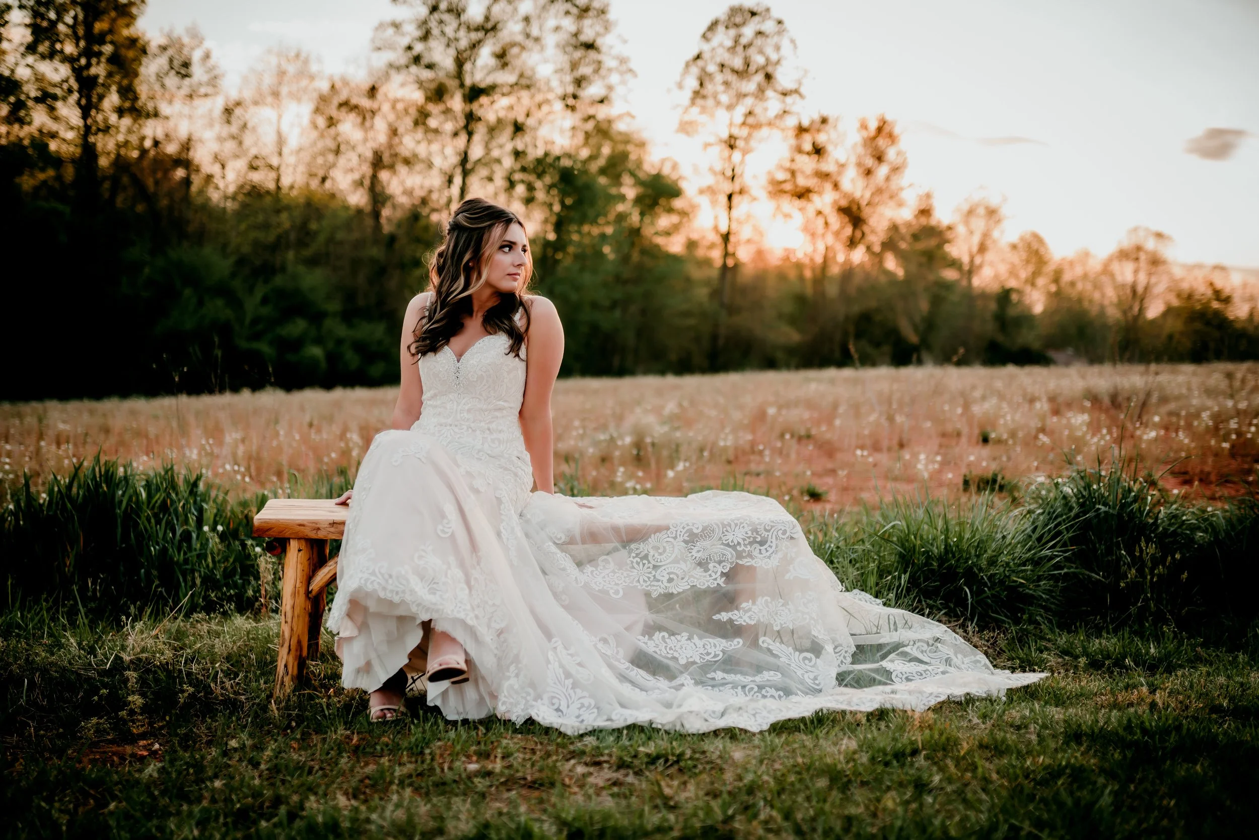 DSC02916-Edit-Edit.jpg