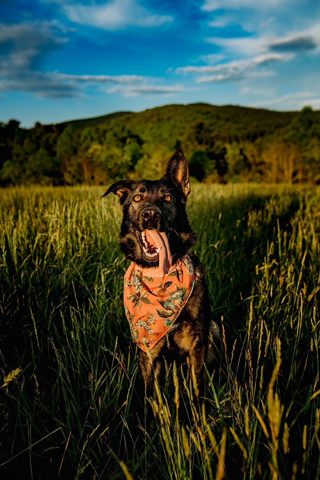 DSC03337-Edit-Edit.jpg