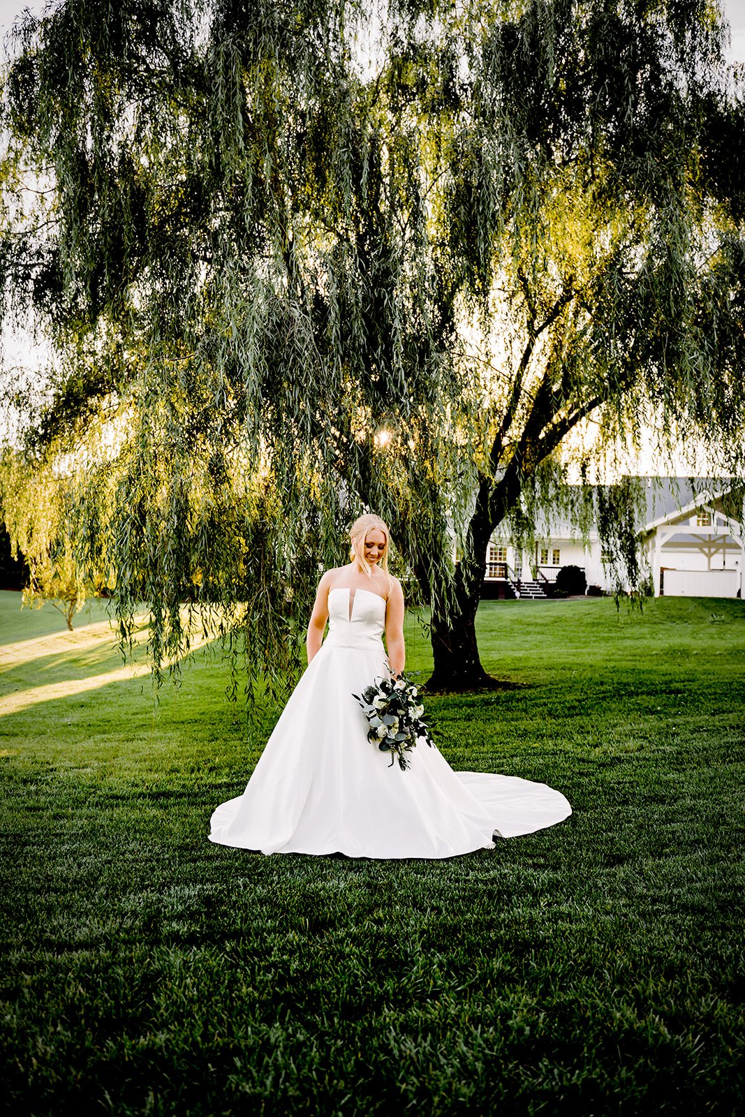 MSP05507-Edit-Edit.jpg