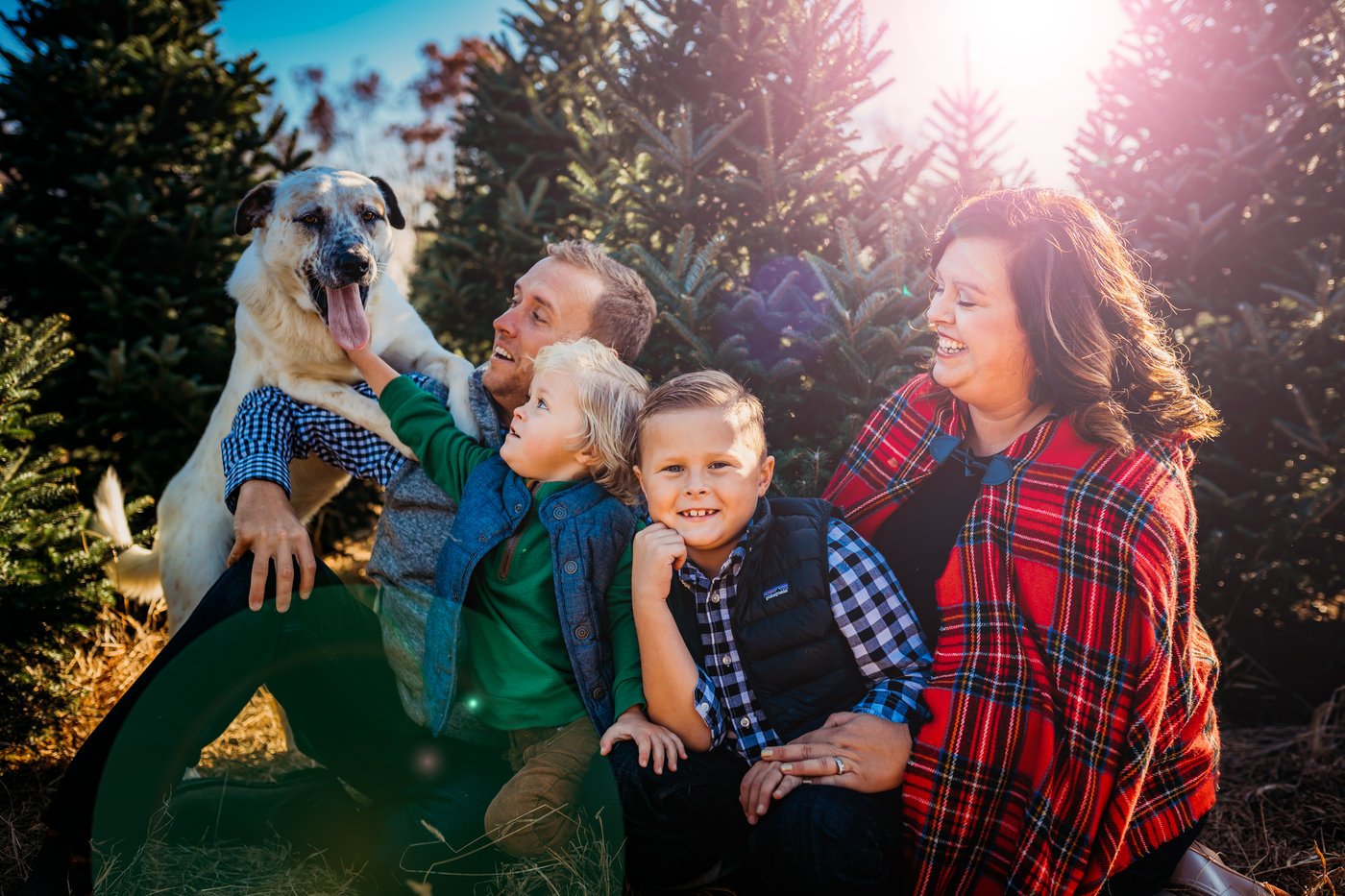 Wilmoth Christmas 2019-wilmoth-0013.jpg