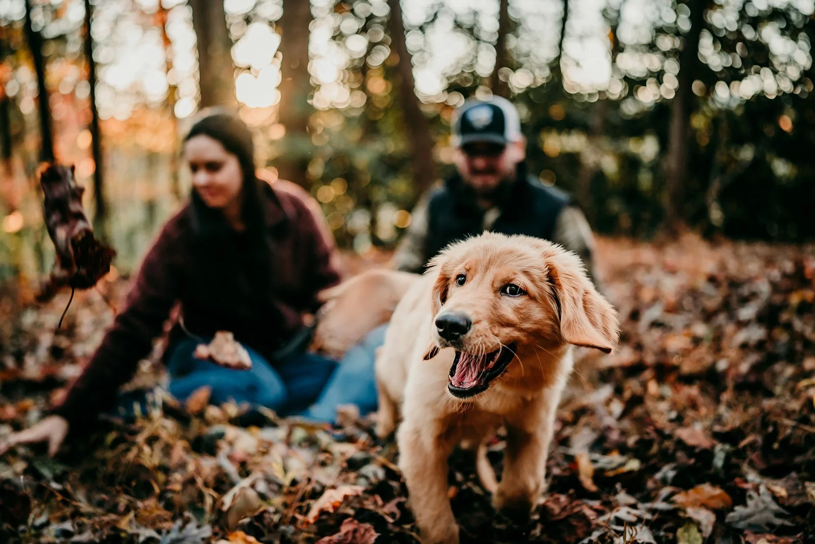 DSC09216_websize (1).jpg