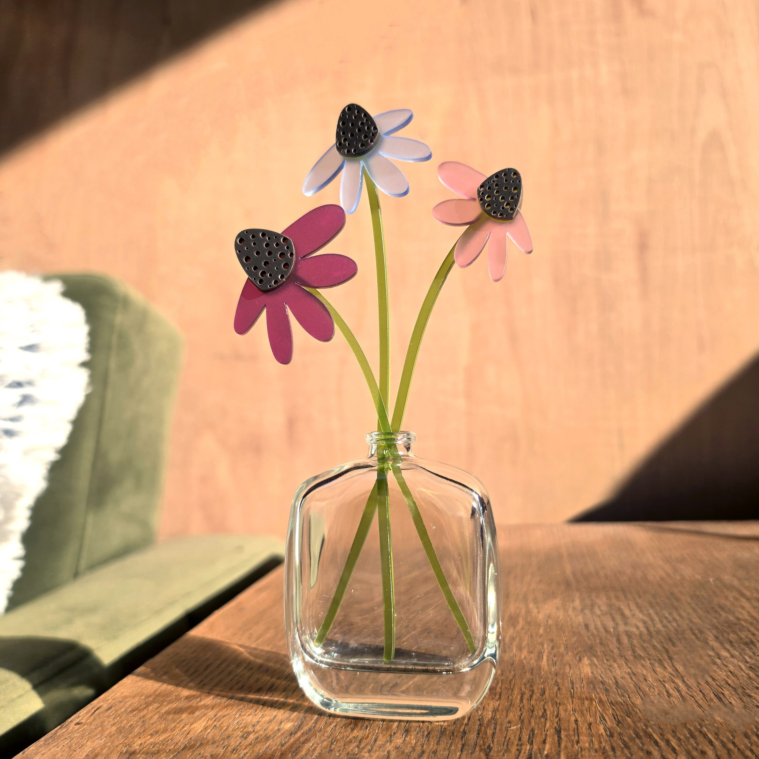 Mixed_Cool_Echinacea_IsziDesigns.jpg