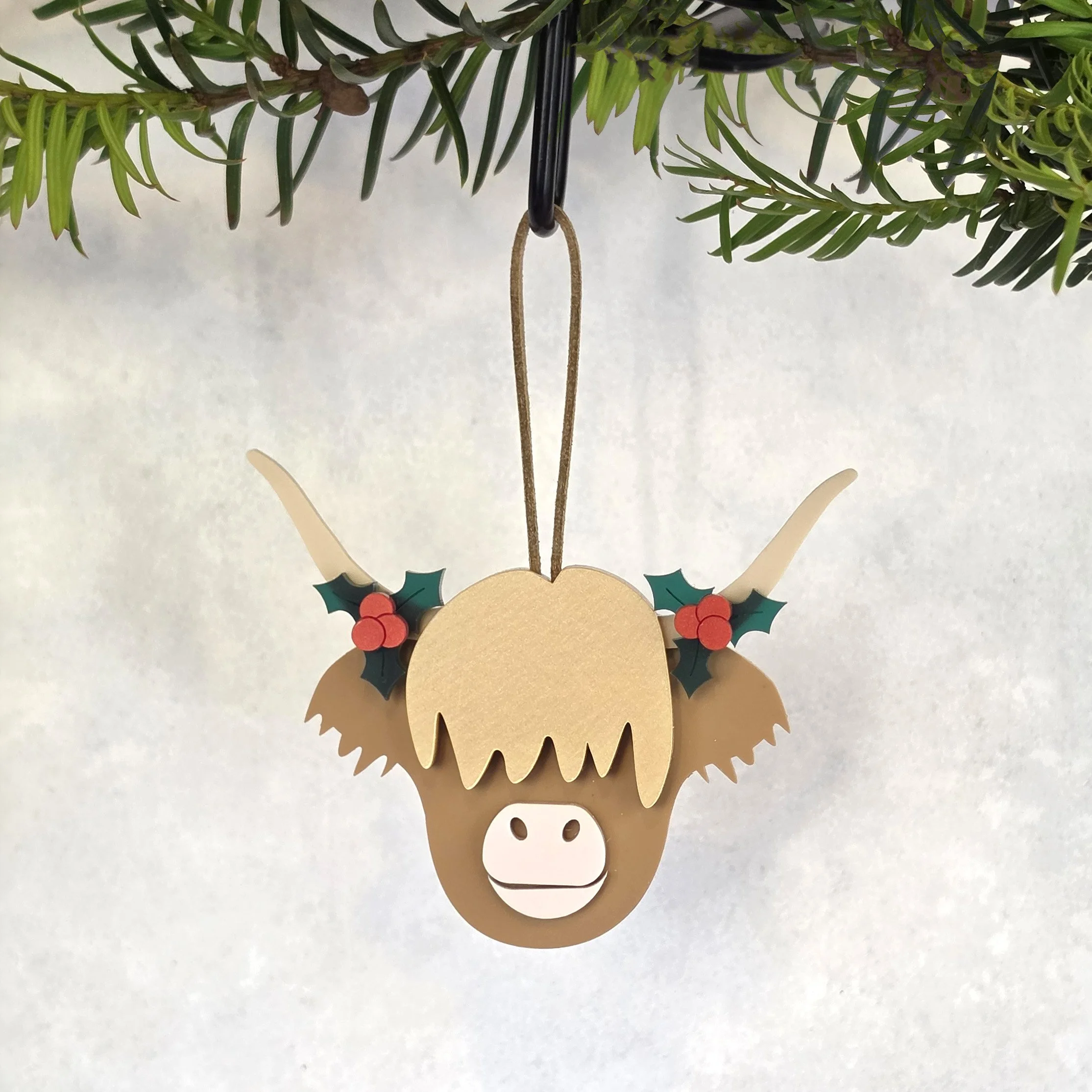 Holly the Highland Cow
