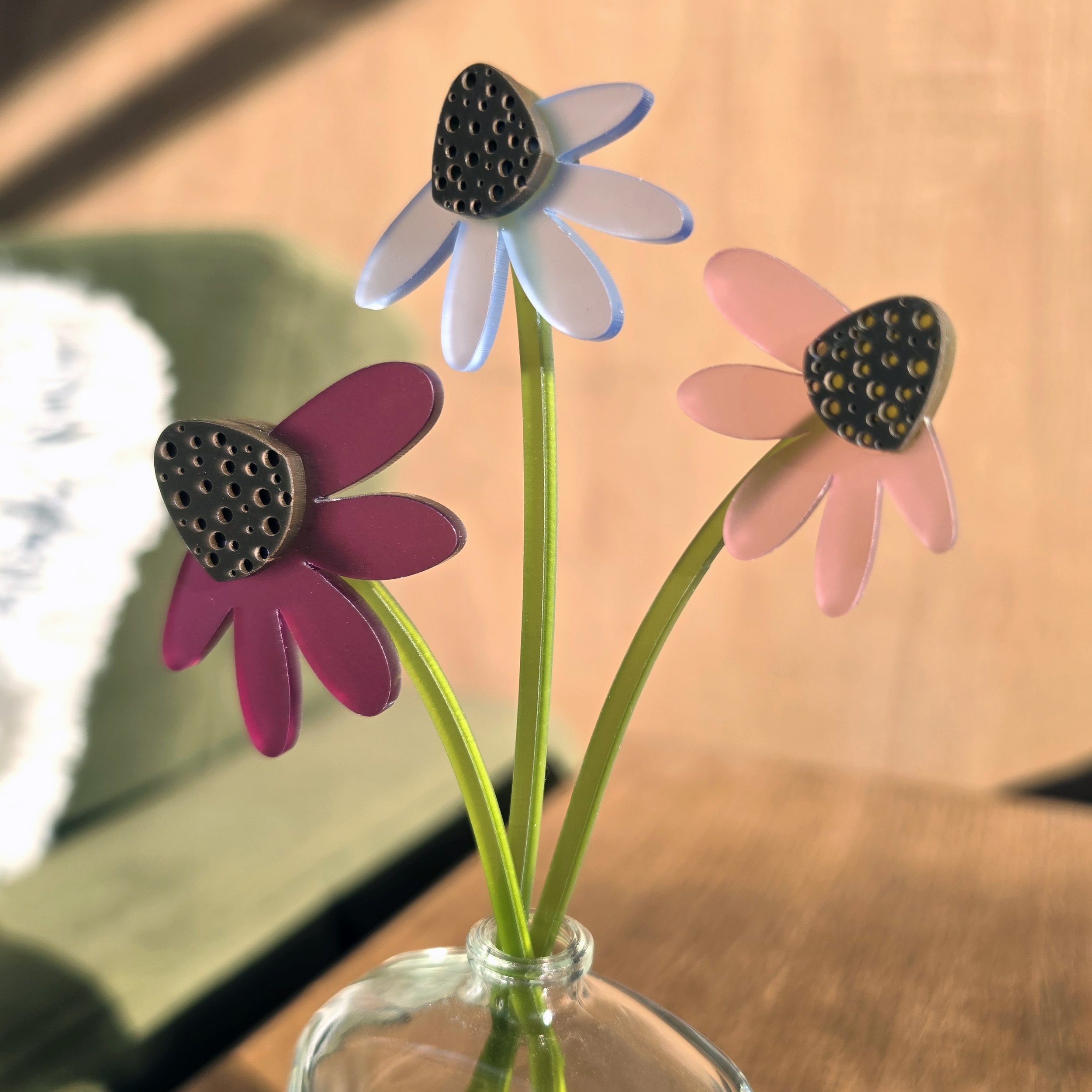 Echinacea_Close_Up_IsziDesigns.jpg