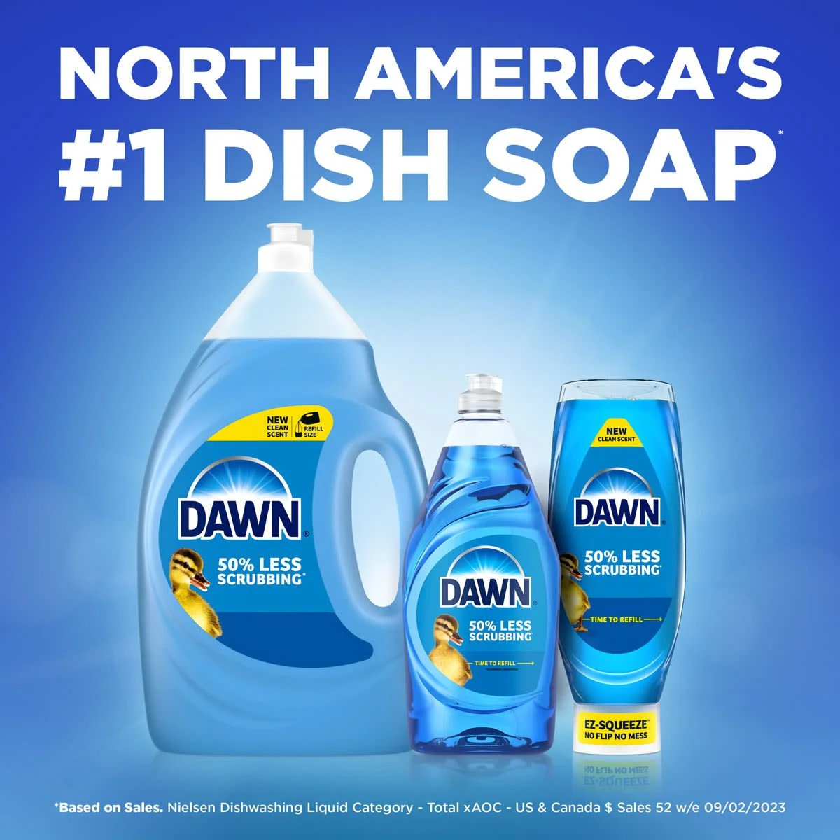 Dawn_NorthAmerica1.jpg (Copy)