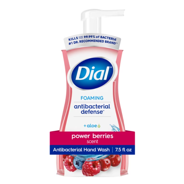 Dial Foaming Antibacterial Defense Hand Wash – Power Berries
