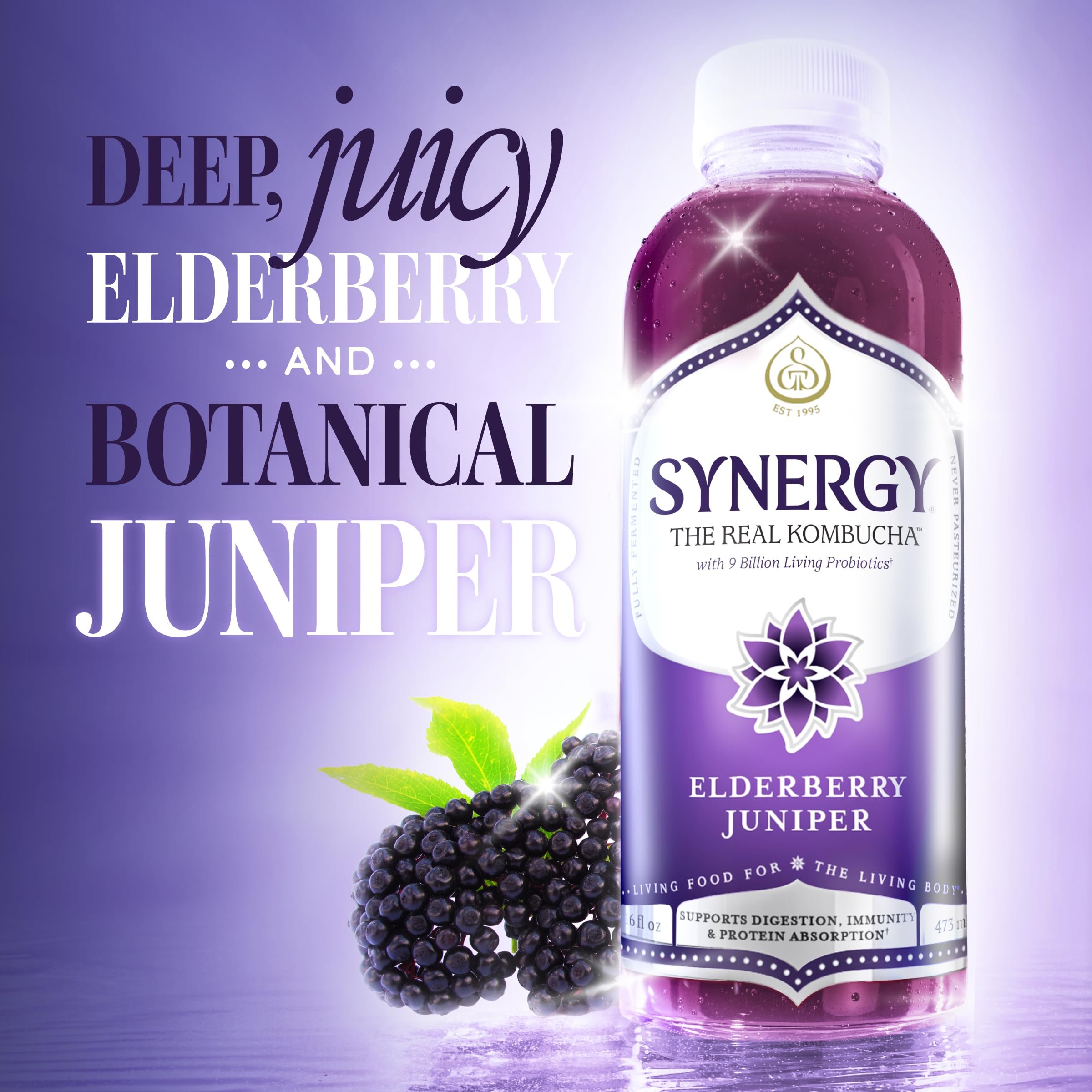 81g7A-OVHWL.jpg