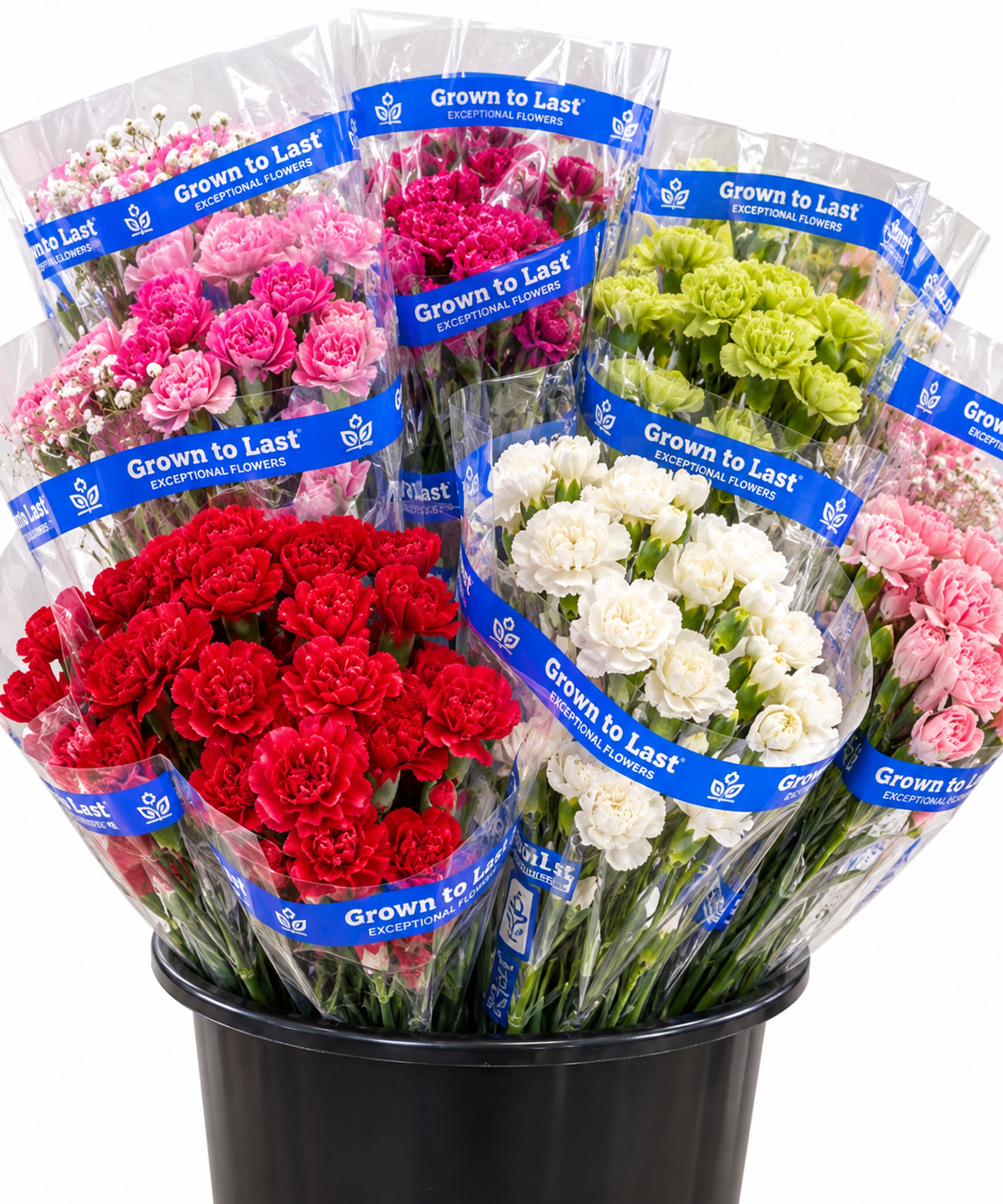 Small Fresh Flowers