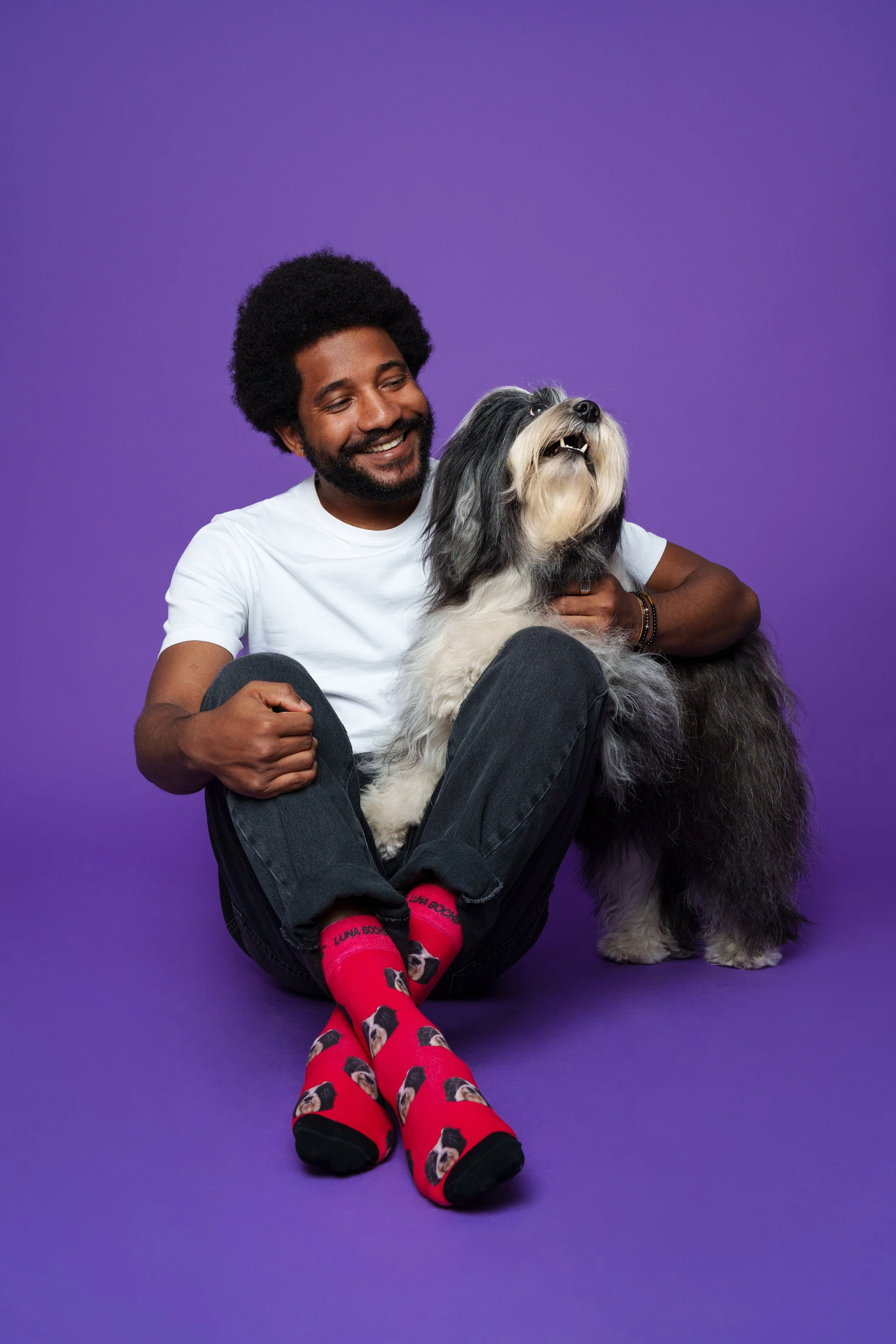 cão com rapaz em fundo roxo