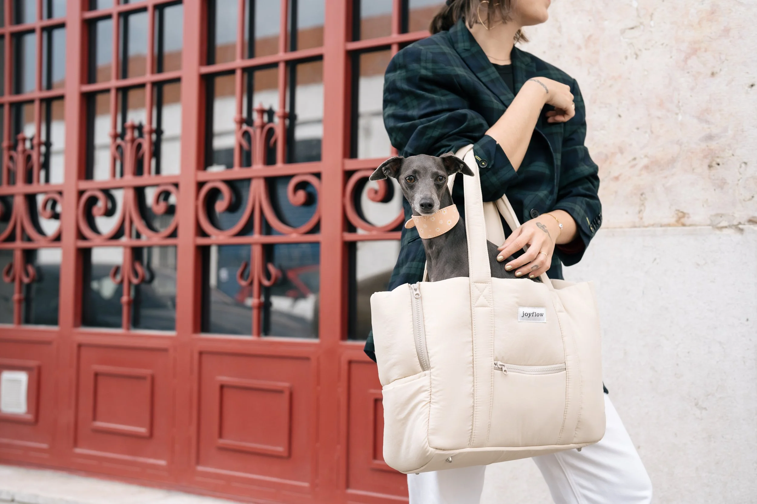 Produção fotográfica com animal em exterior para campanha publicitária