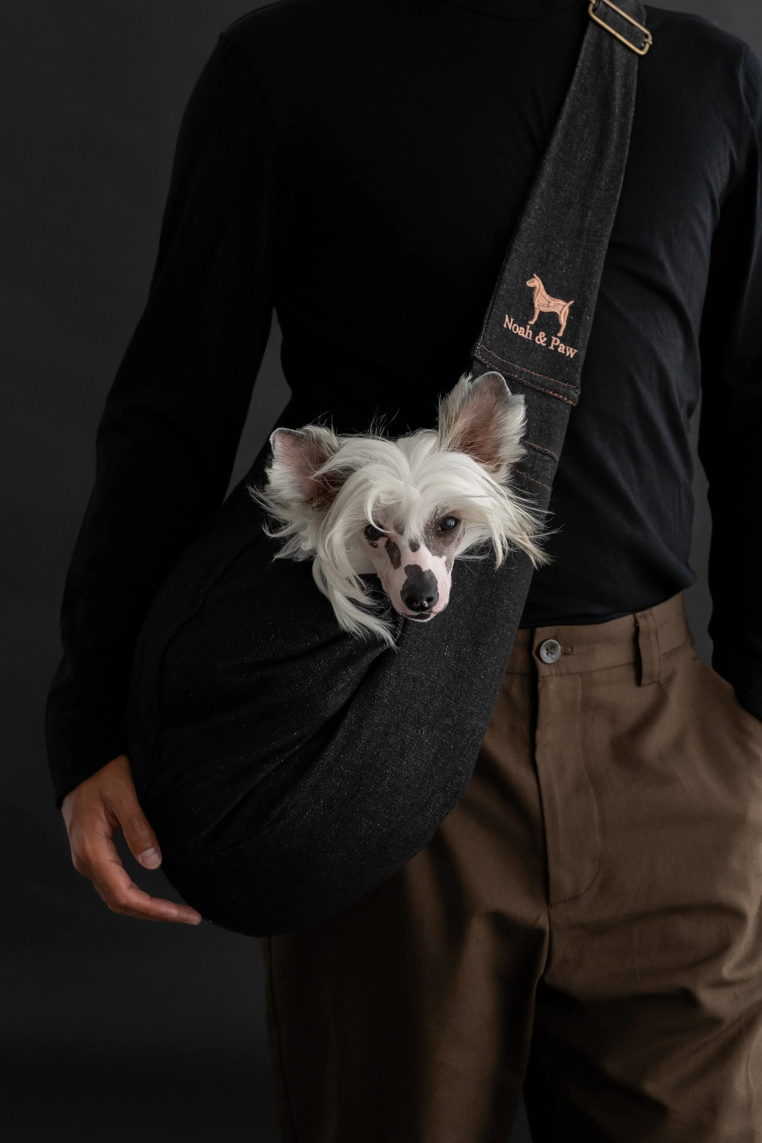 Fotografia comercial com animal para campanha publicitária
