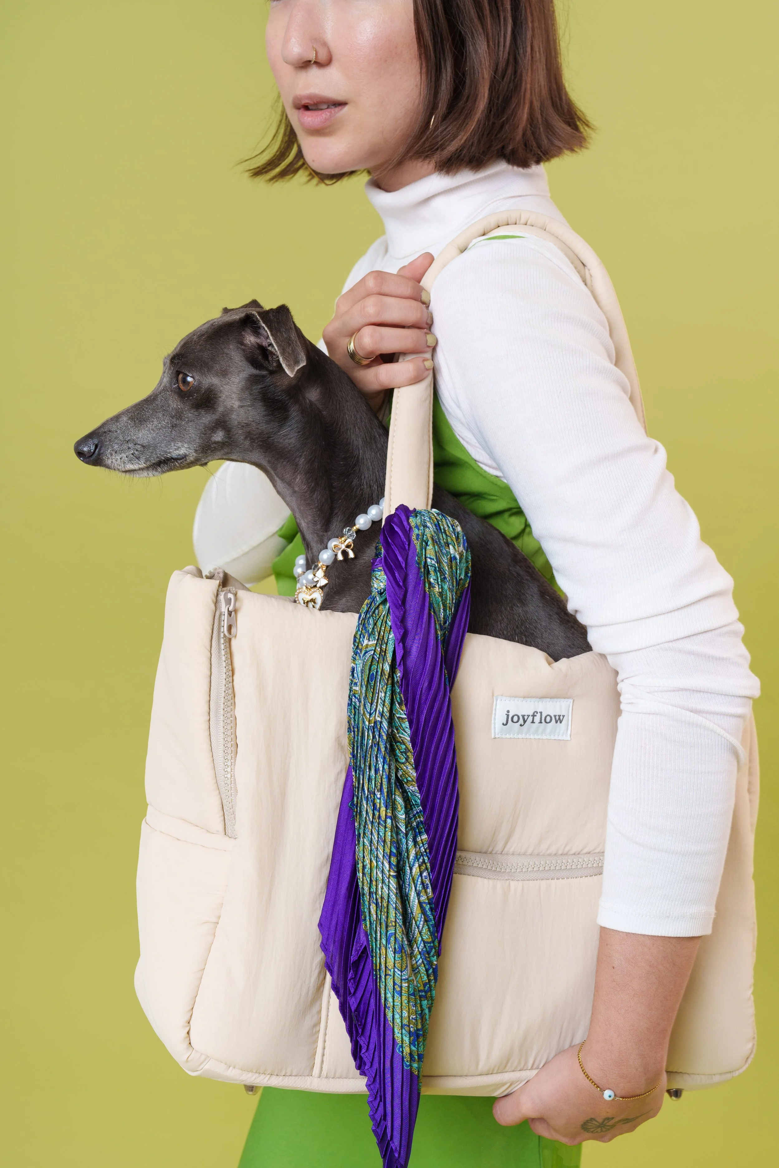 Imagem comercial com animal para campanha publicitária de marca internacional