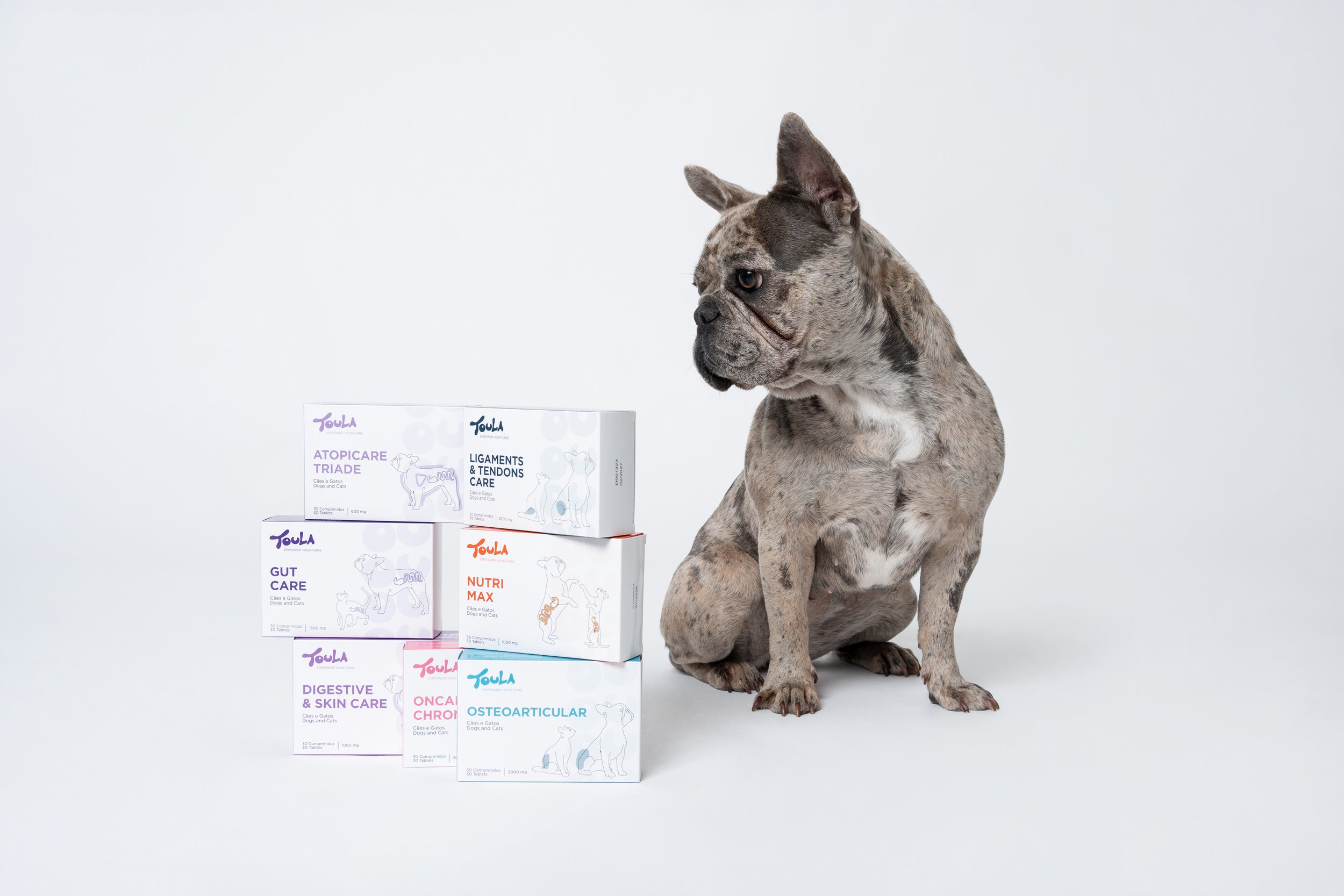 Imagem publicitária com animal para comunicação visual de marca