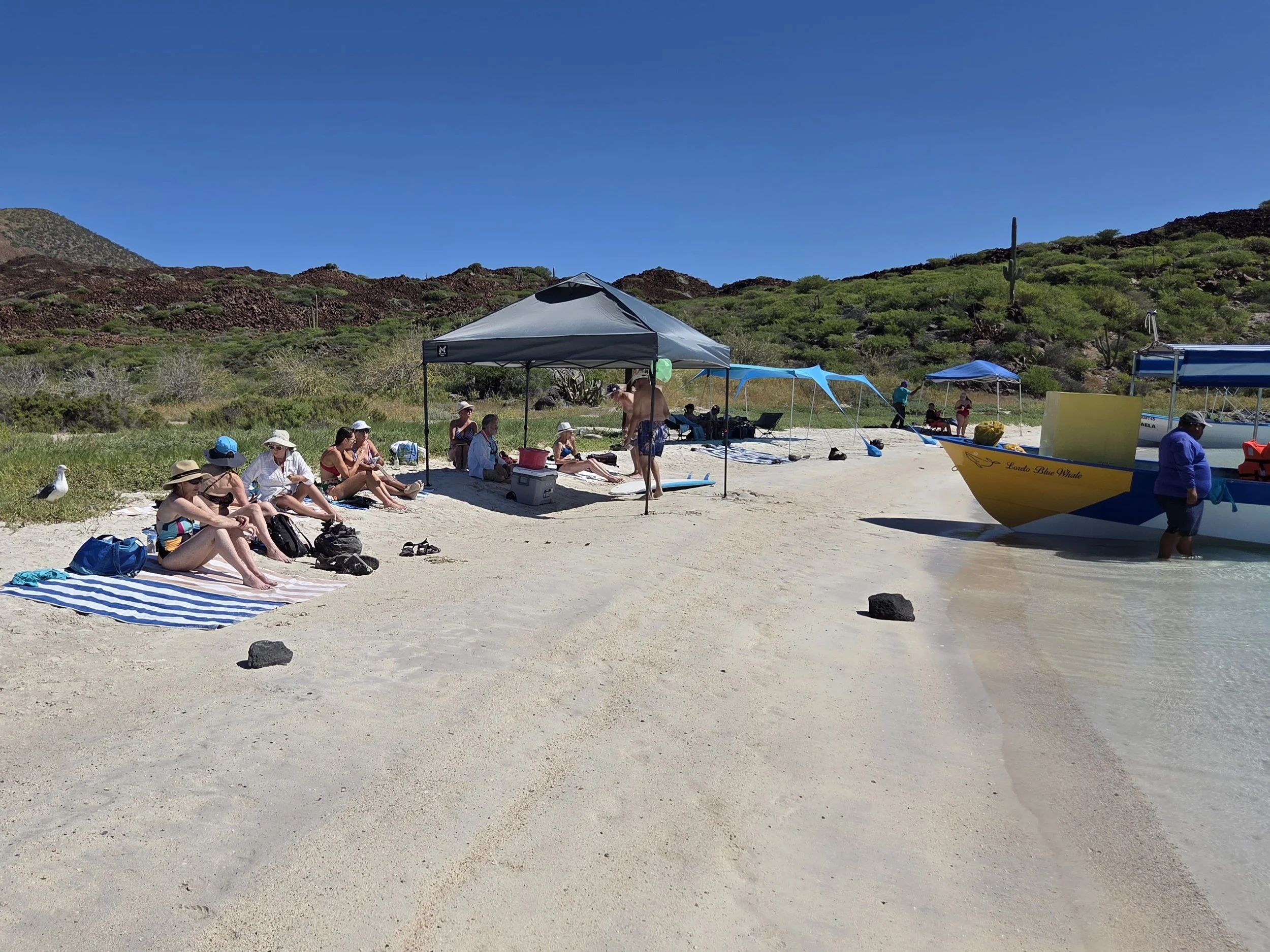 People relaxing on a beach with sand, sitting under a canopy and near a boat in calm water on a sunny day.
