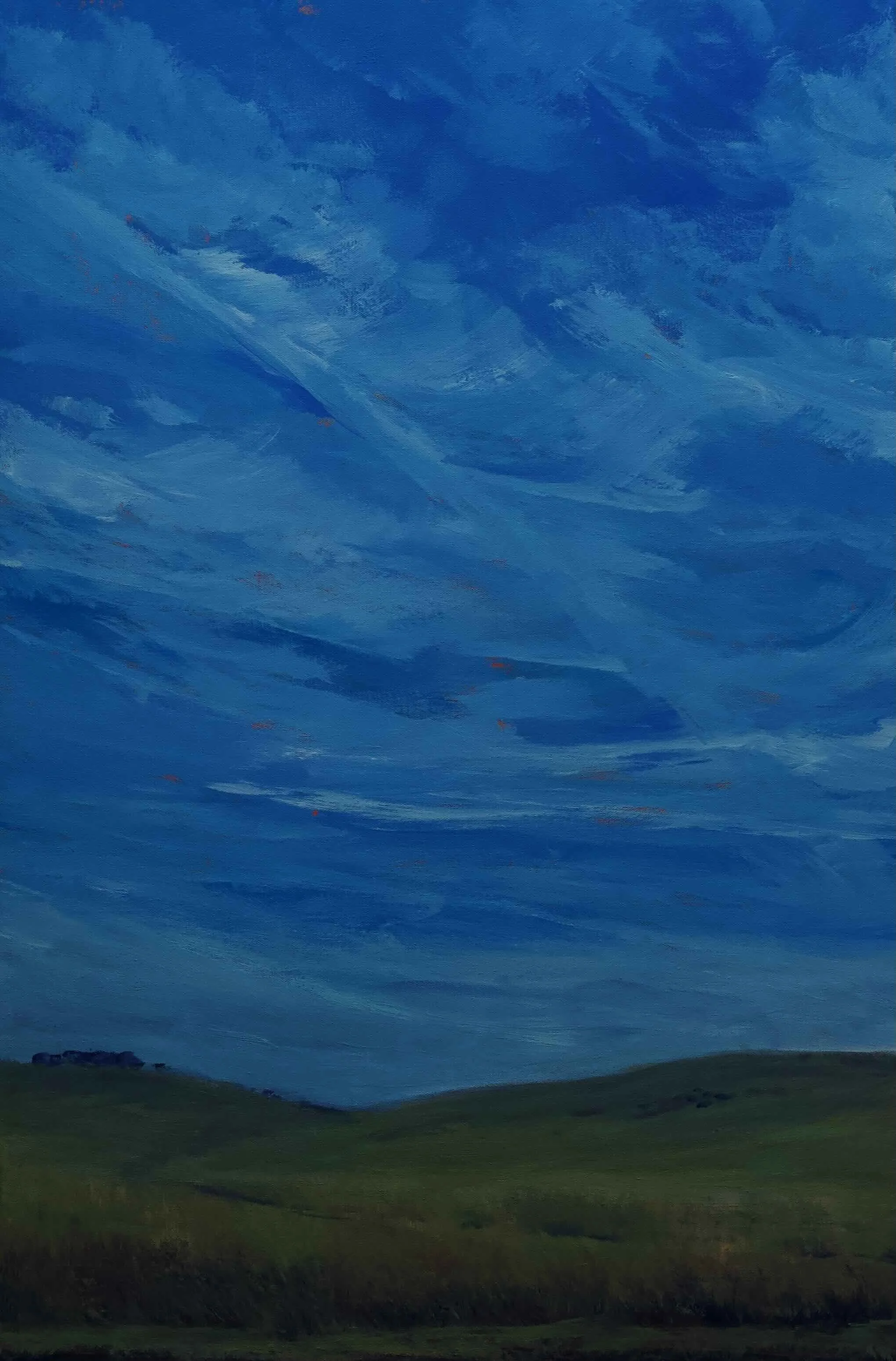 "Ranch Sky"
Acrylic on canvas
24"w x 36"h