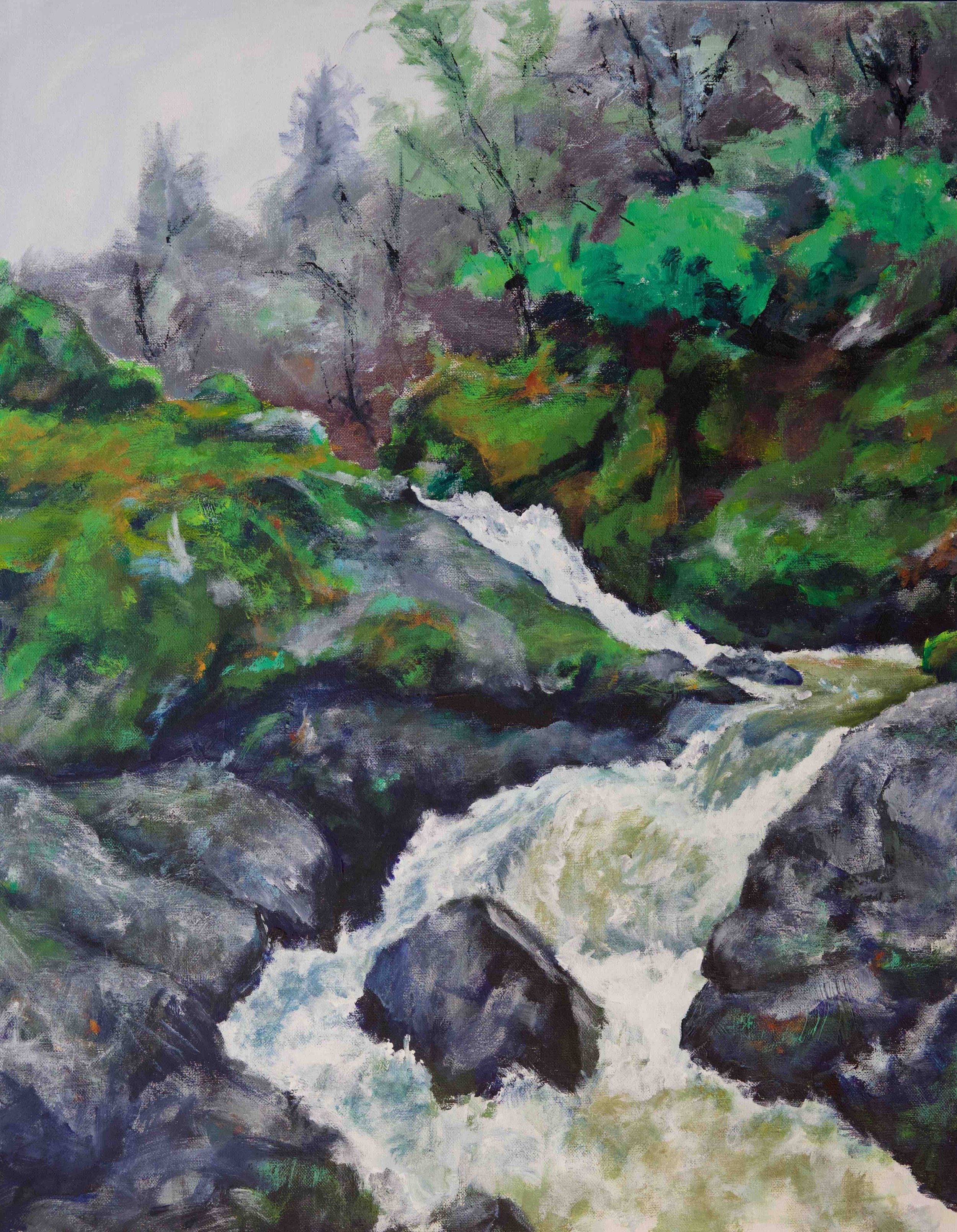 "Rush Creek"
Acrylic on canvas
22"w x 28"h