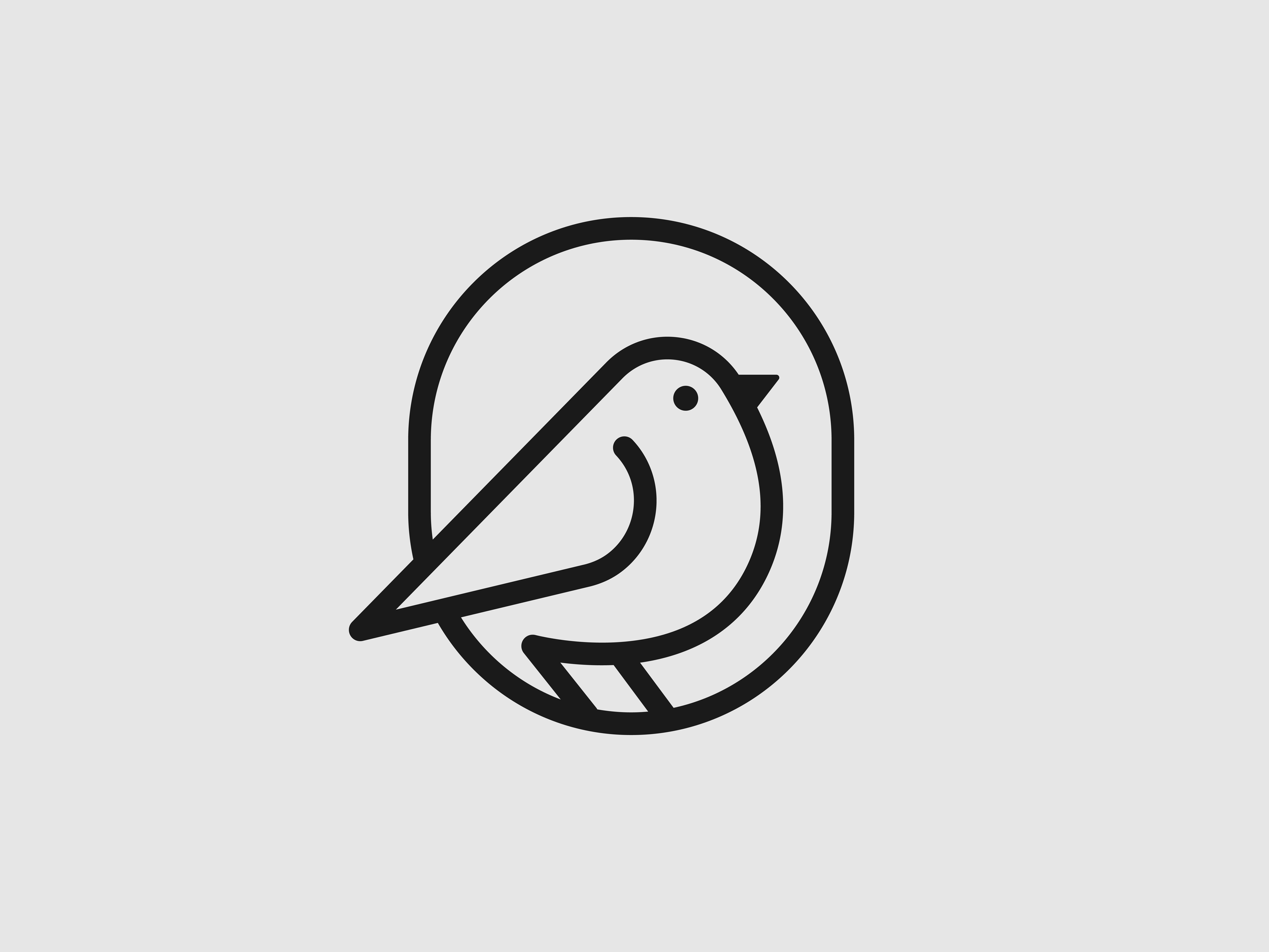 Brand Identity Projects