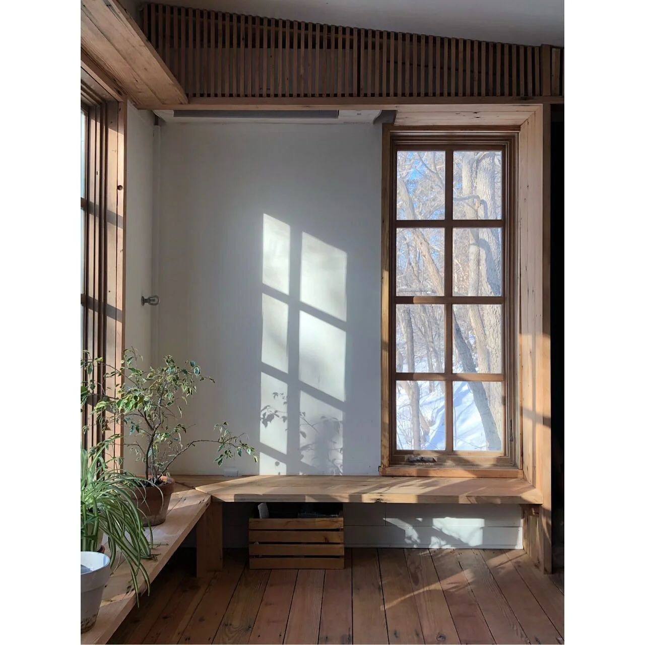 The coldest days of winter still bring warm vibes 

#winterlight #workfromhome #Moundstreetstudio #architecture #birdhouse