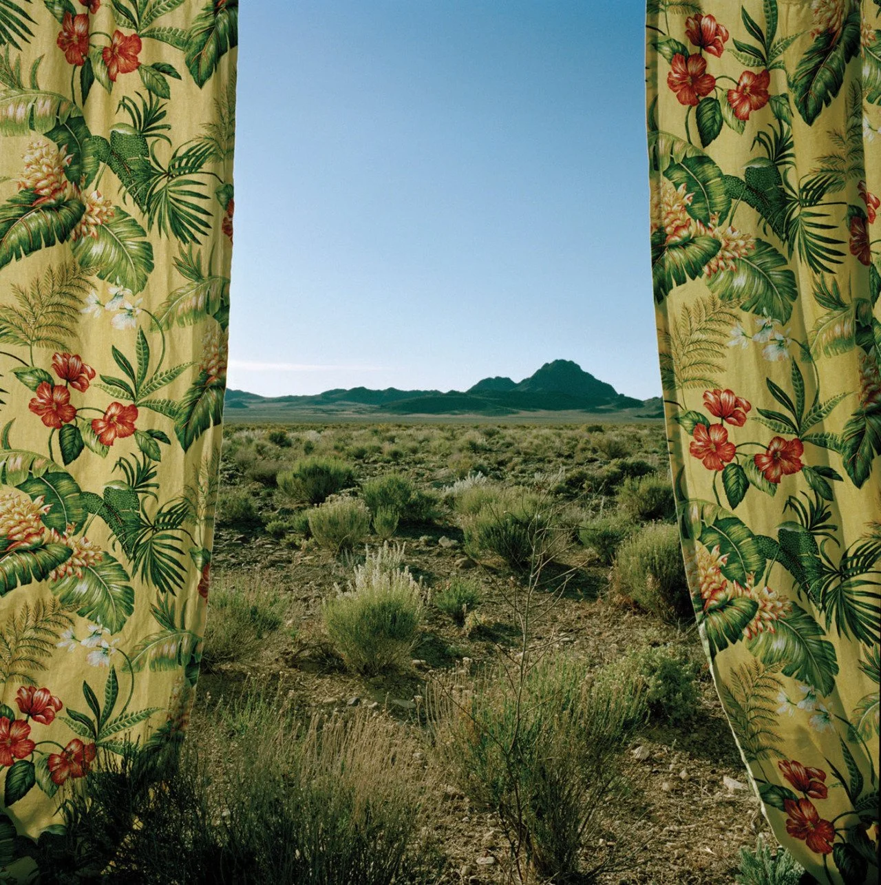 05.23 "may flowers" by macy