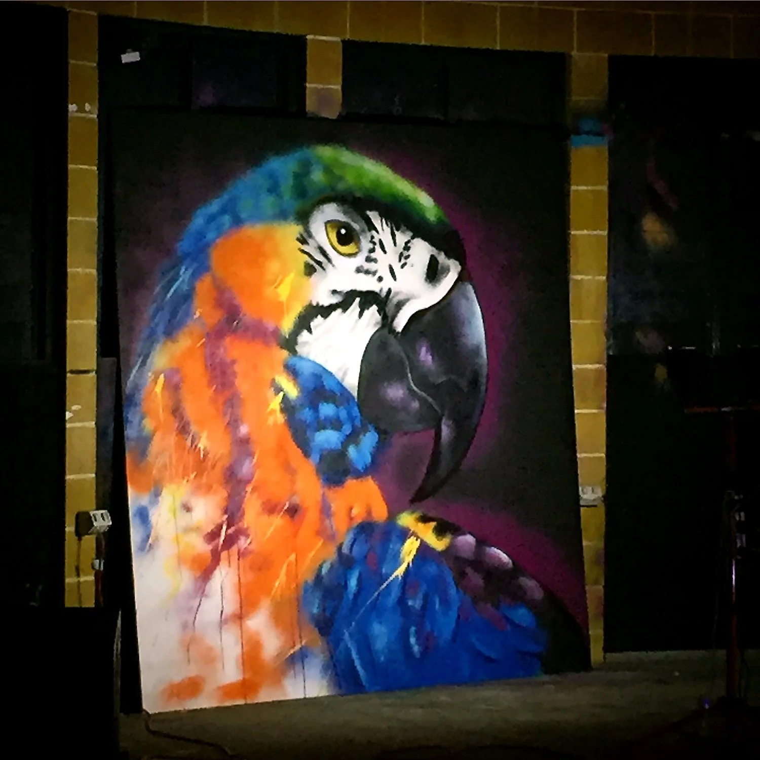 macaw-live-paint