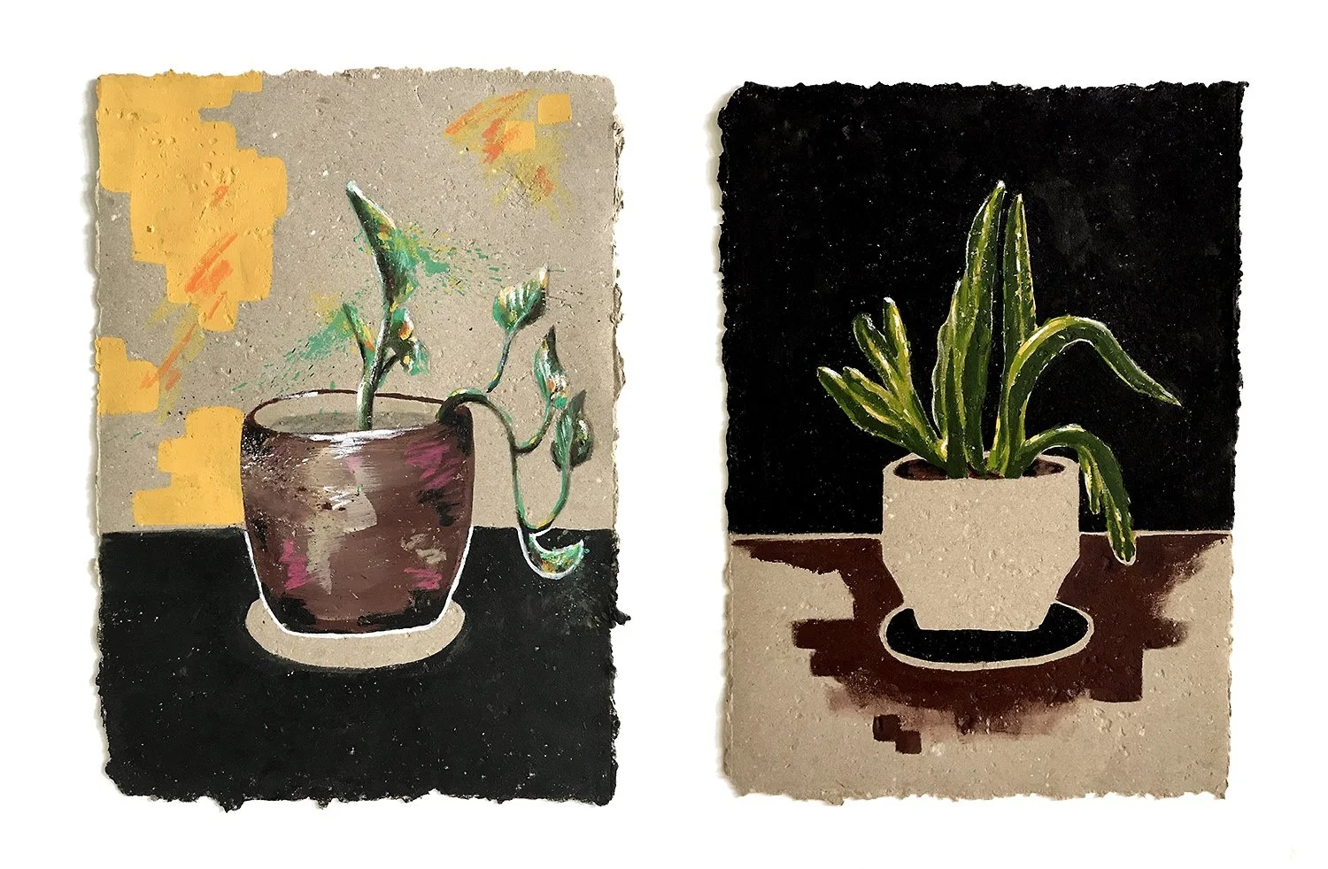 plants-studio-pair