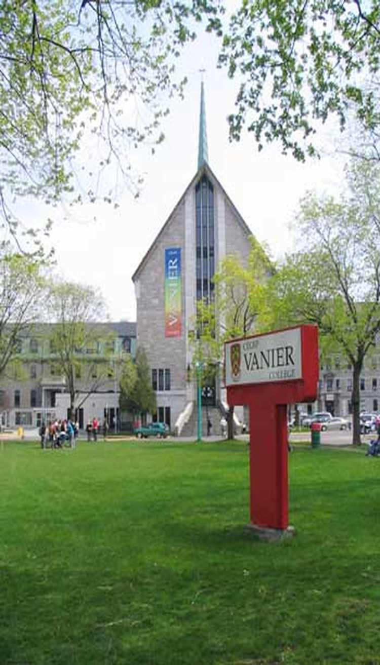 Home inspection services in Vanier