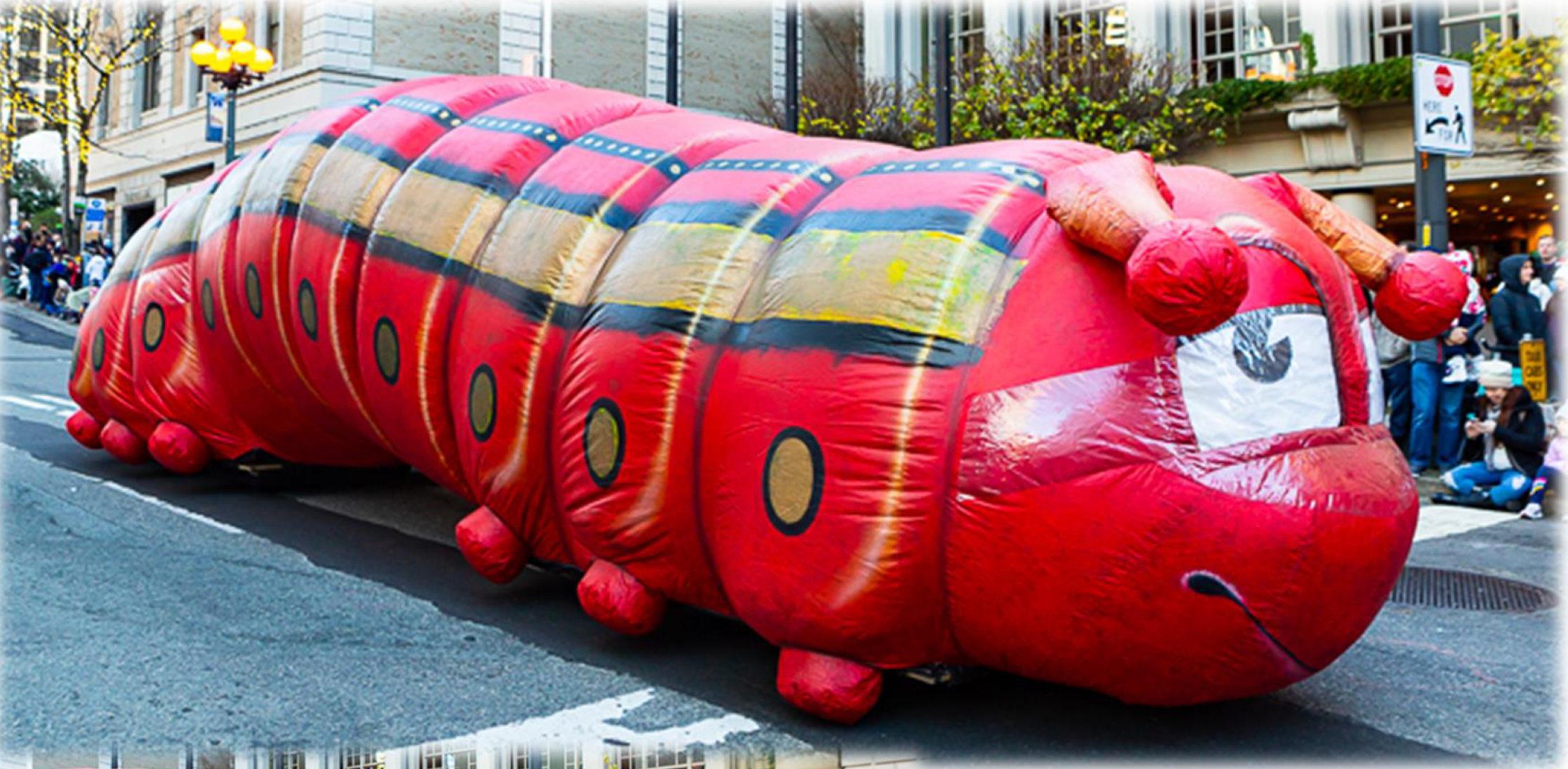 Caterpillar-Balloon-Insect.png