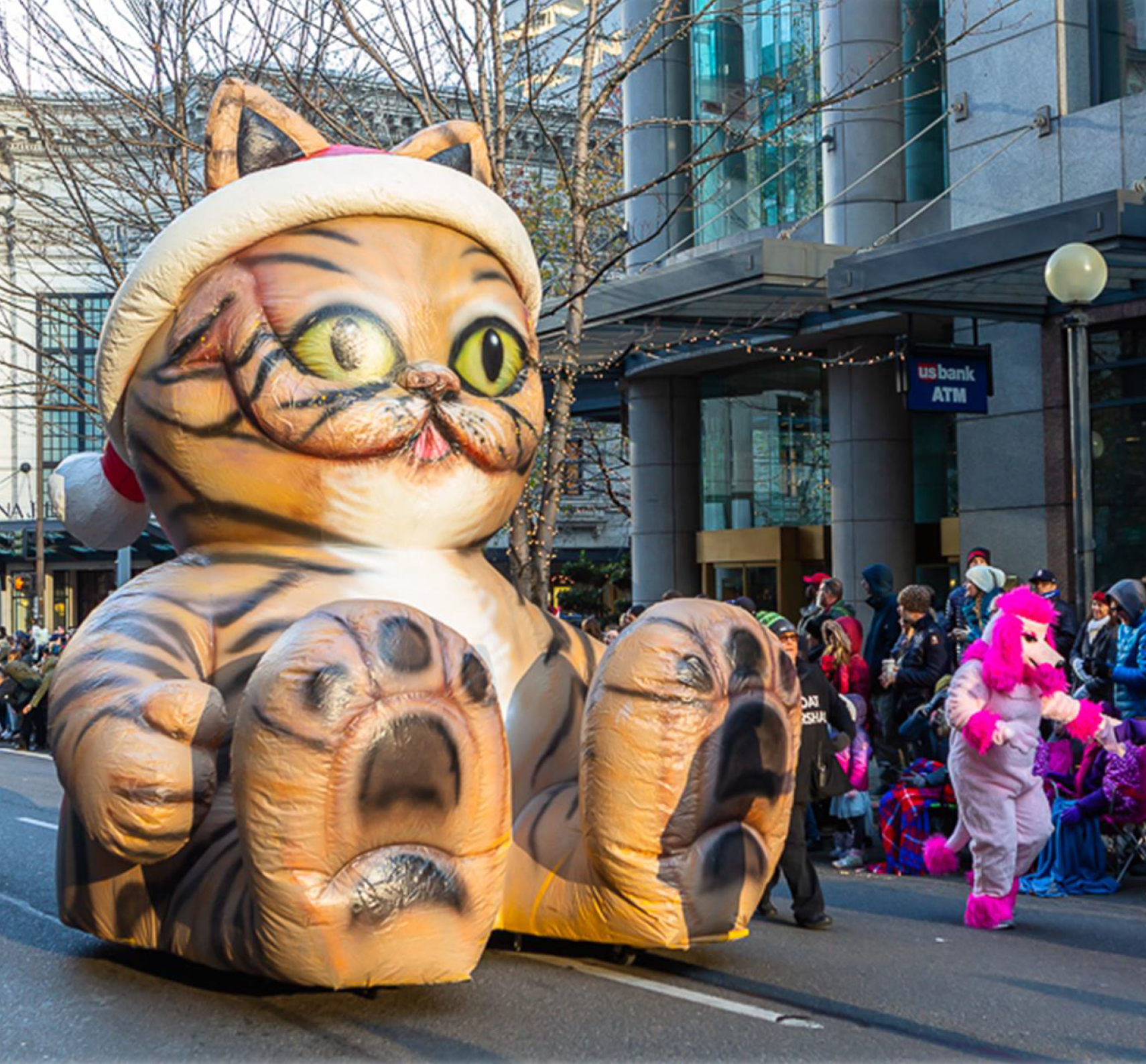 Christmas-Cat.png