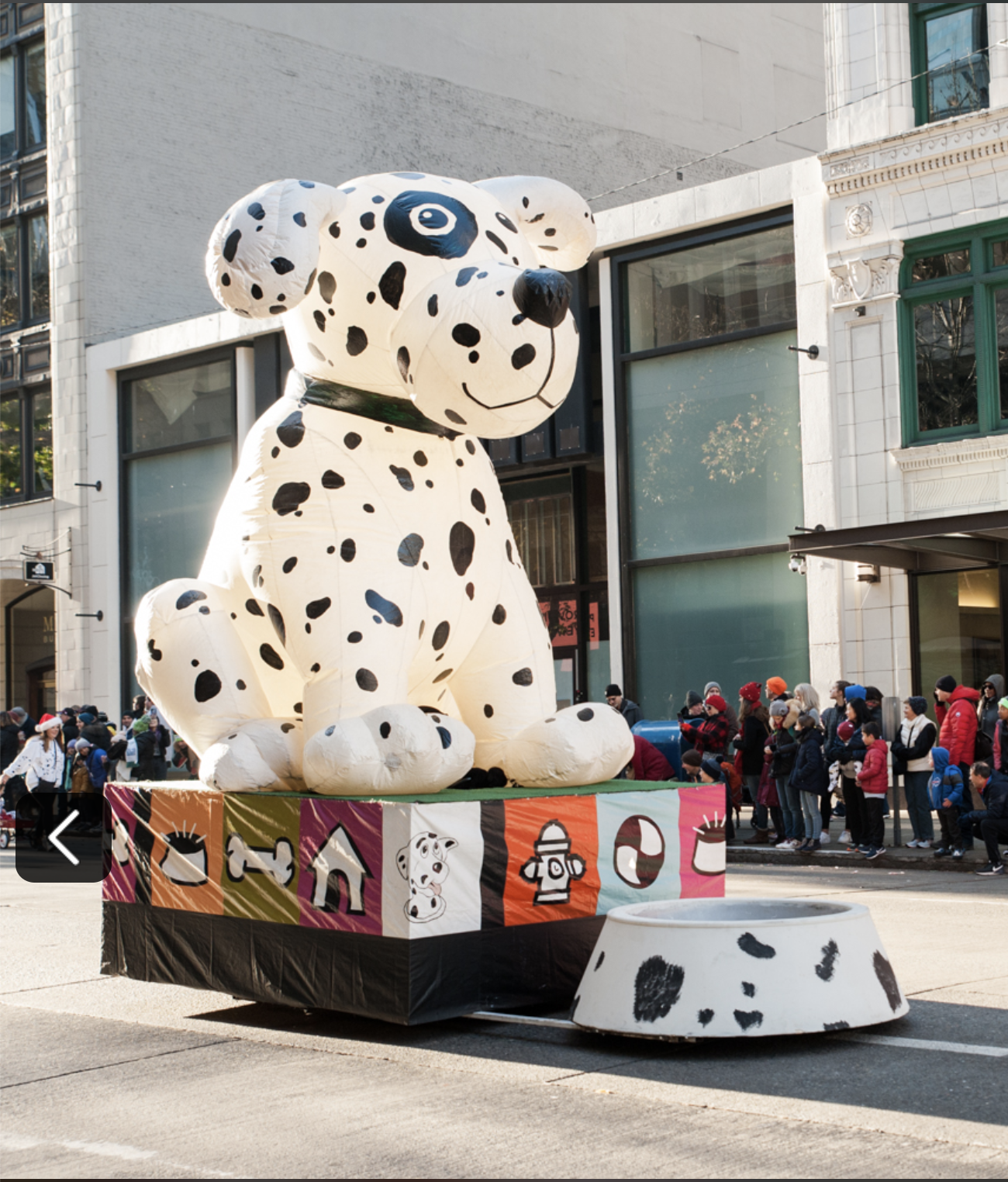 Dalmation-Dog-Float-Pet.png