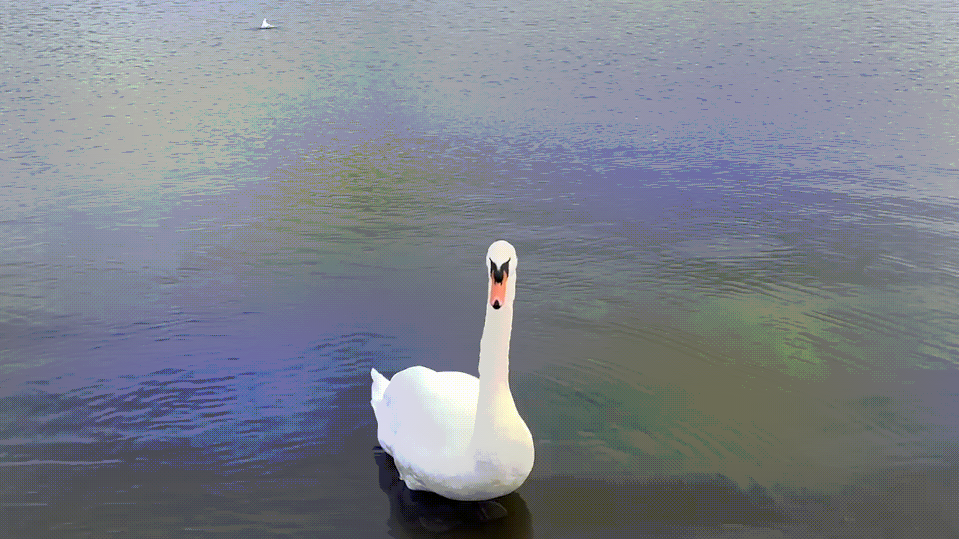 UX of Slowness Week 1