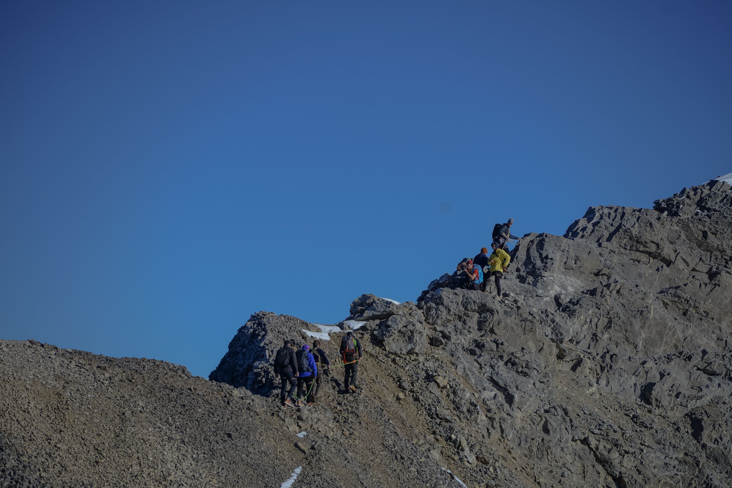 DSC_5951.jpg