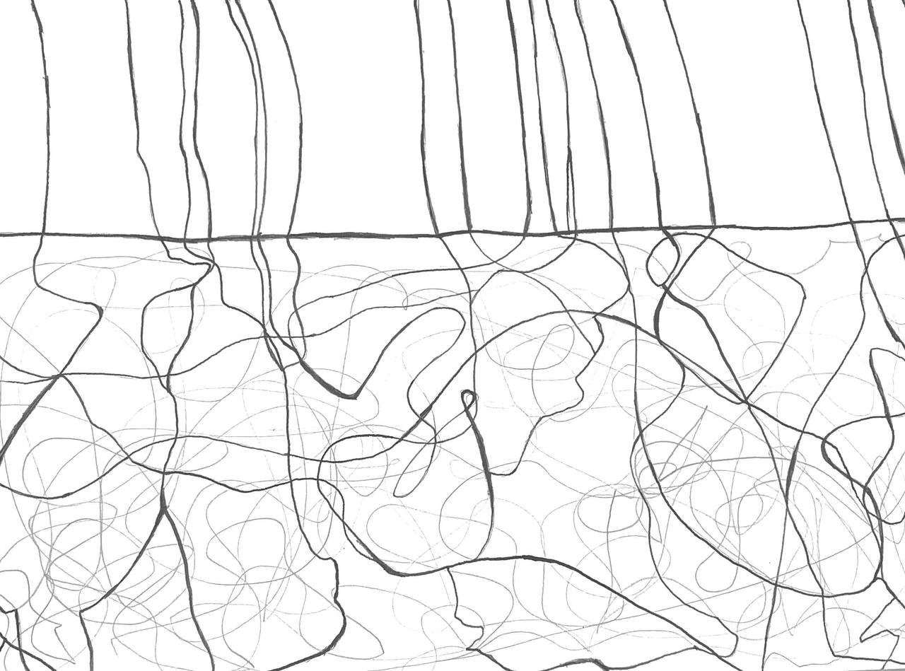FOREST / Pencil 30x60 / Berlin, 2023