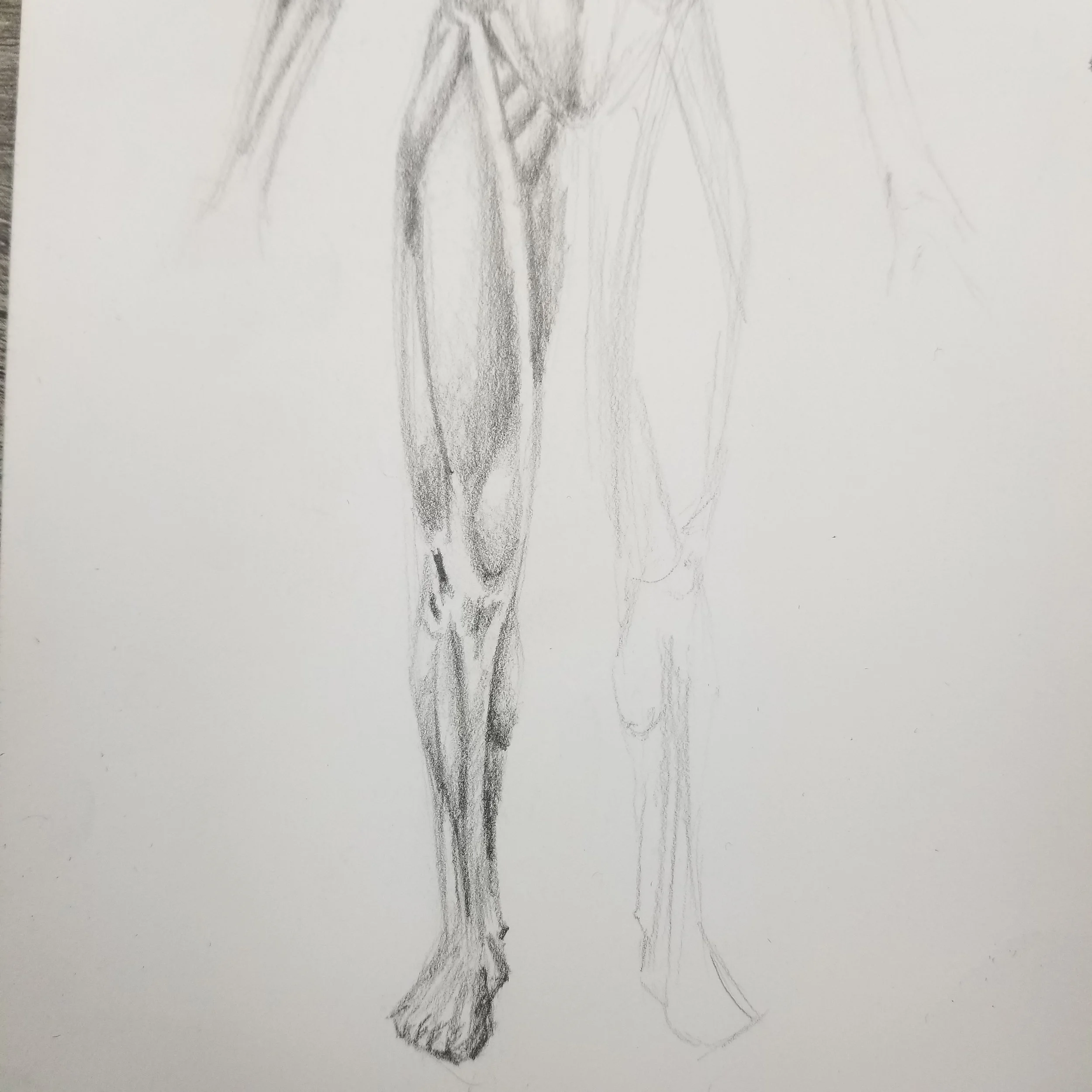 2019-10-04 01.13.55.jpg