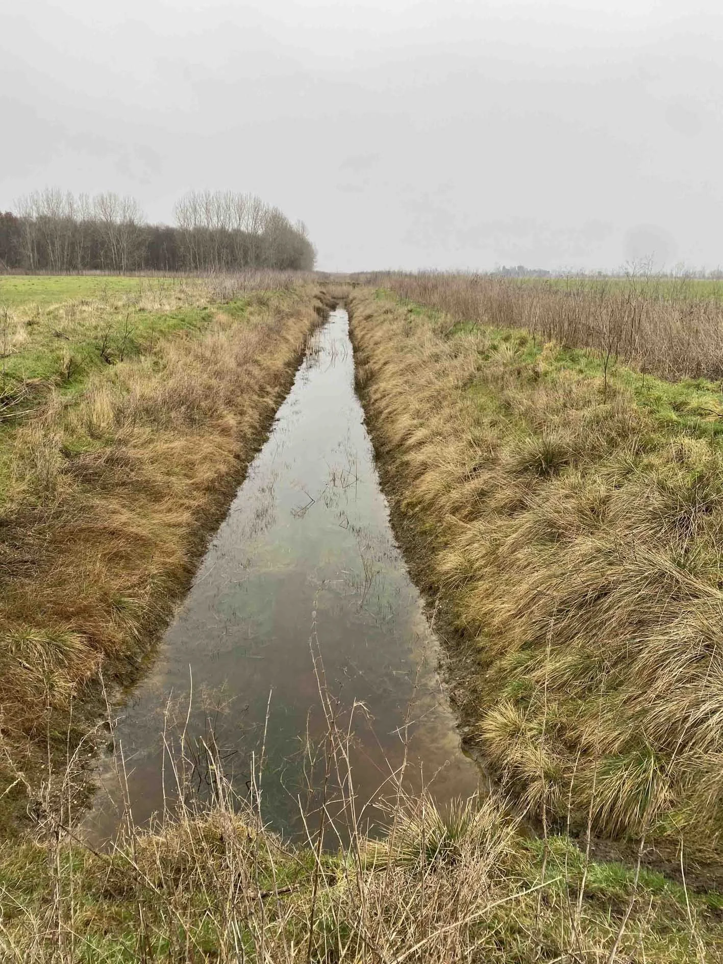 Man made water channel in peatlands