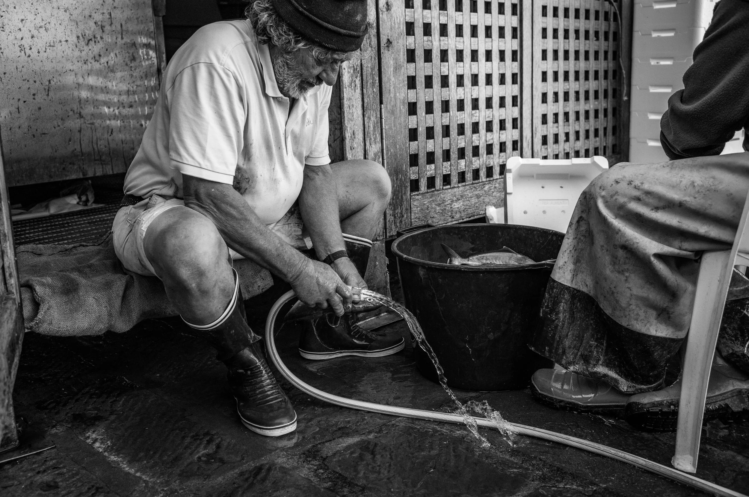 Ein alter Mann sitzt auf dem Boden und hält einen Fisch in der Hand, während er Wasser aus dem Fisch schwemmt. Er trägt einen Schal, kurzärmliges Hemd, Shorts, Gummistiefel und eine Mütze. Im Vordergrund ist eine schwarze Tonne mit weiteren Fischen. 