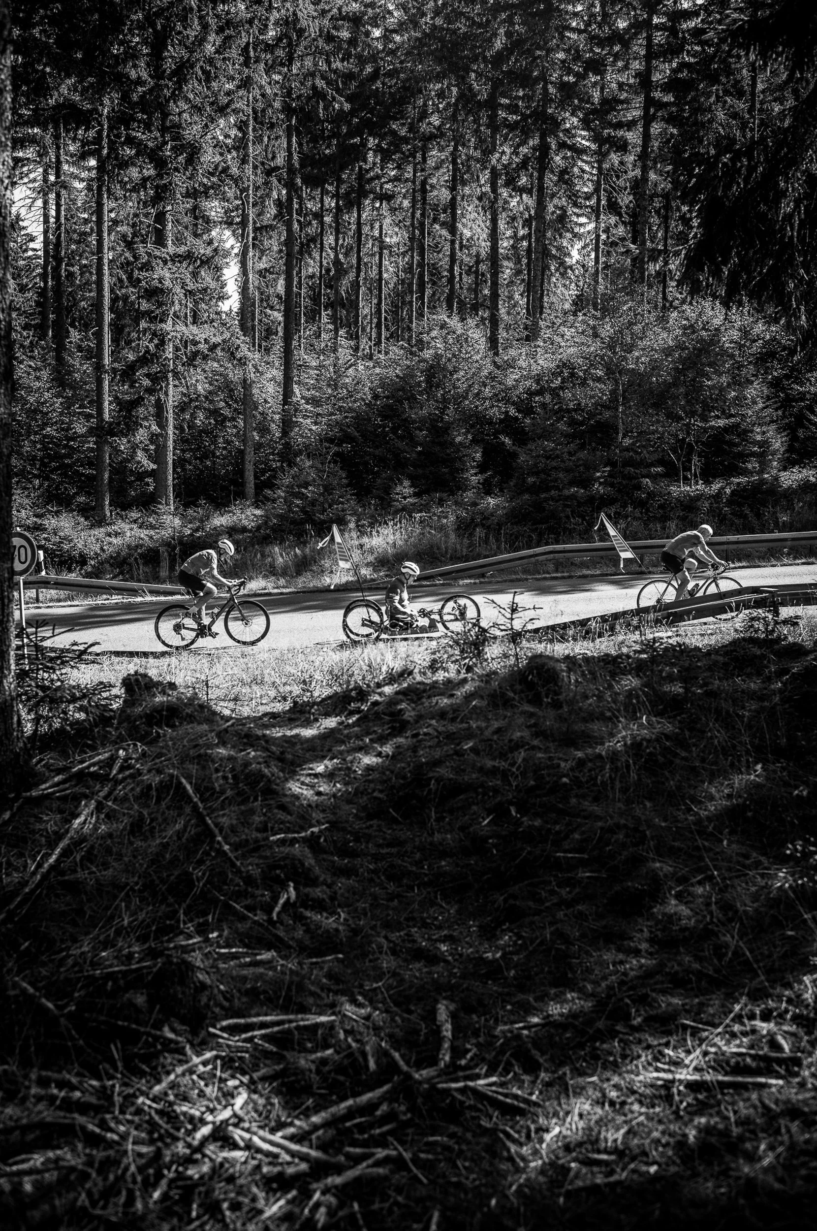 Drei Mountainbiker fahren auf der Straße in einem Wald, sichtbar in Schwarz-Weiß.