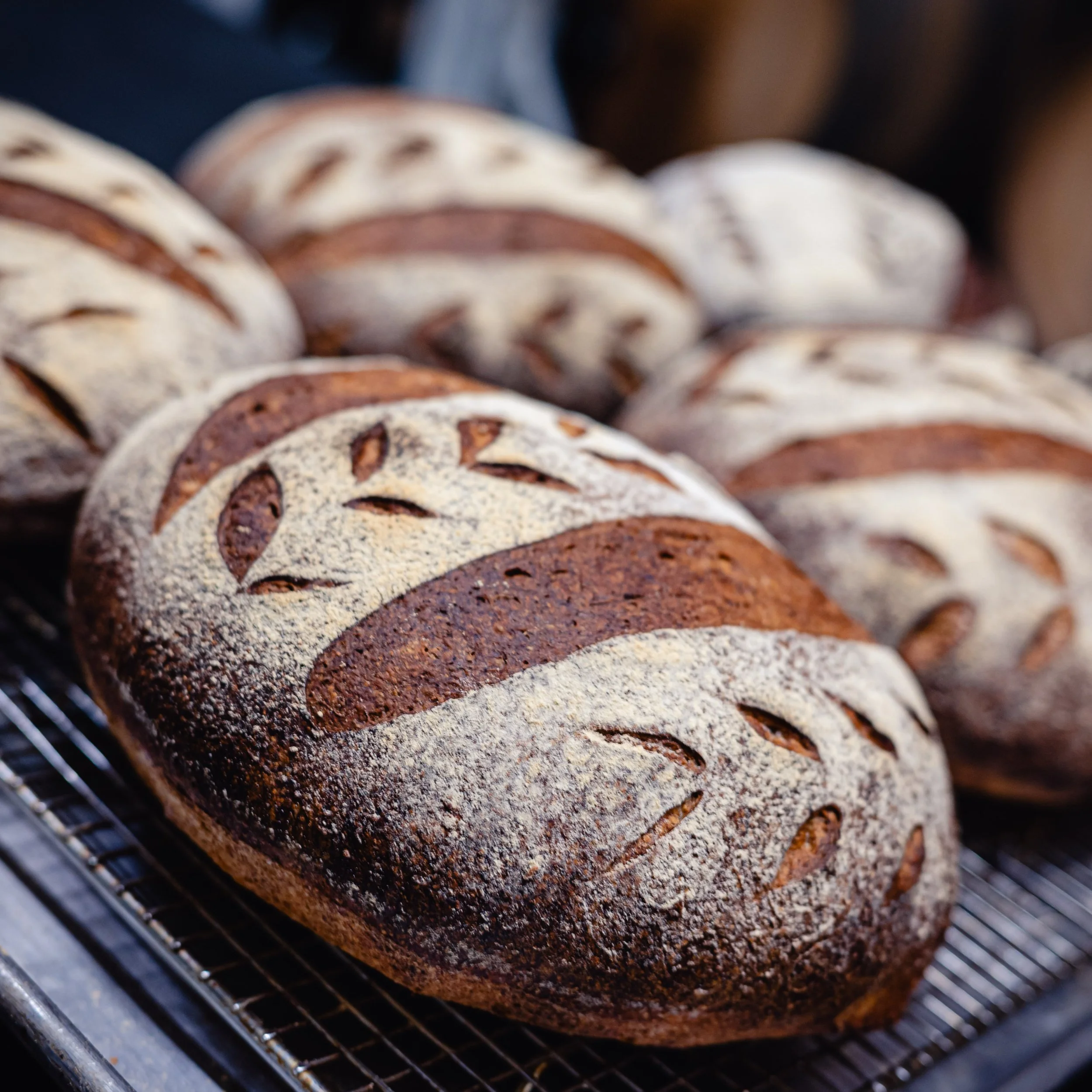 Close-up of freshly baked loaves of bread with decorative scoring patterns on a metal cooling rack.