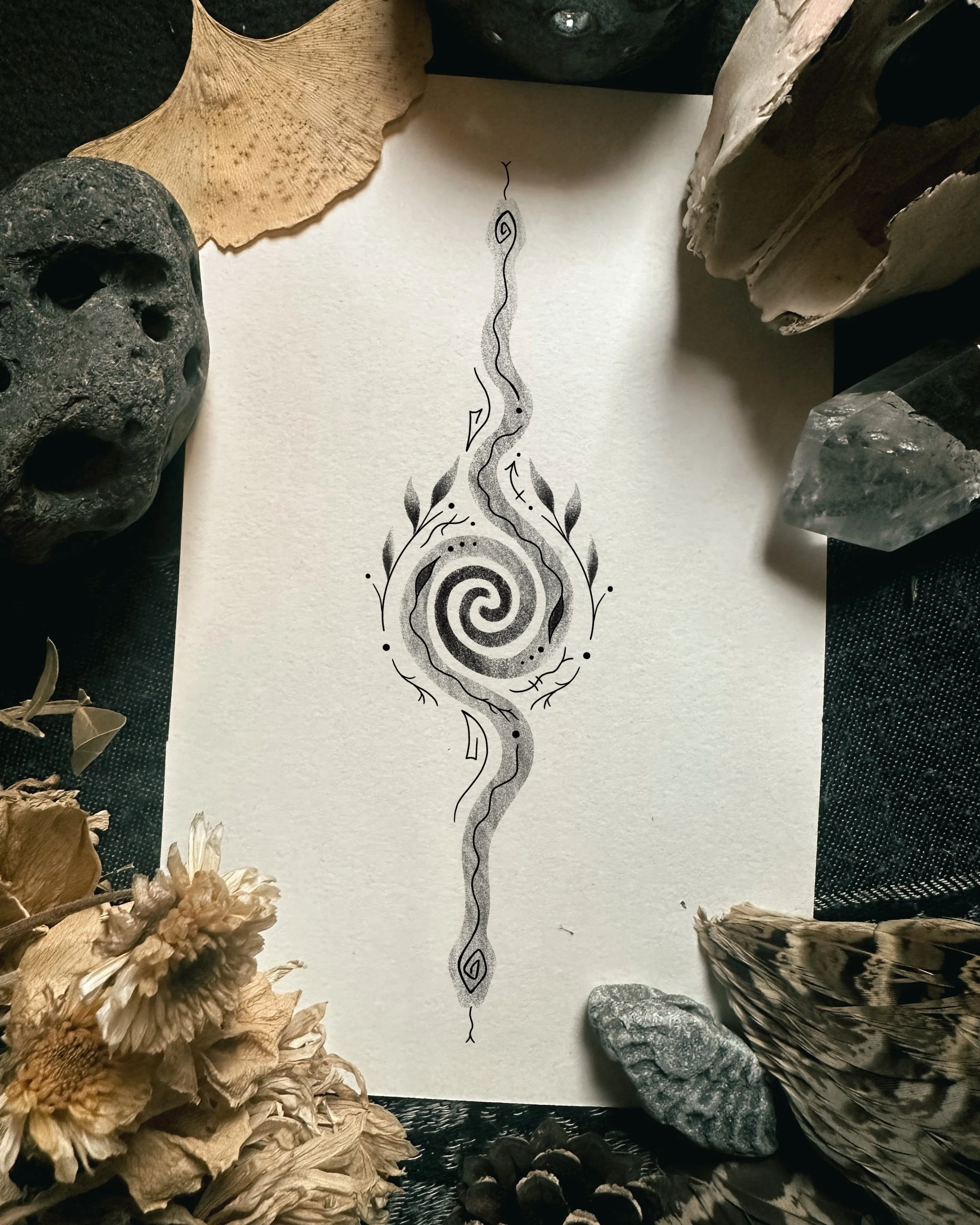 A black and white drawing of a spiraling, elongated shape with decorative elements at its ends, surrounded by natural objects including a large leaf, rocks, dried flowers, and tree bark.