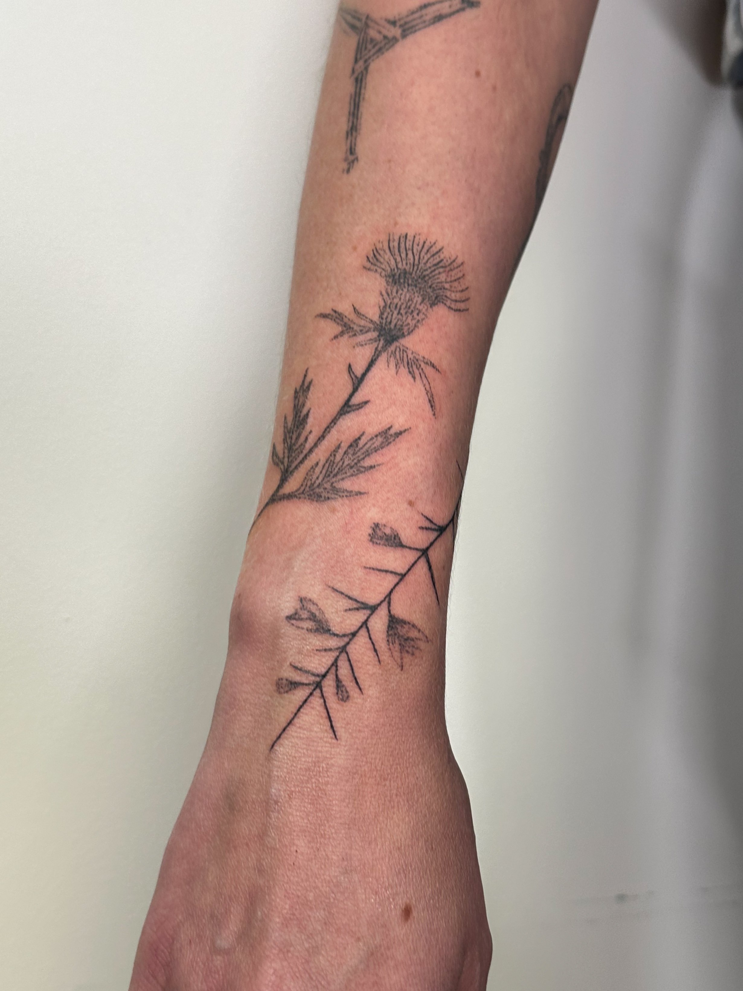 A person's forearm with a black line art tattoo of a flowering plant, including a large flower and leaves.