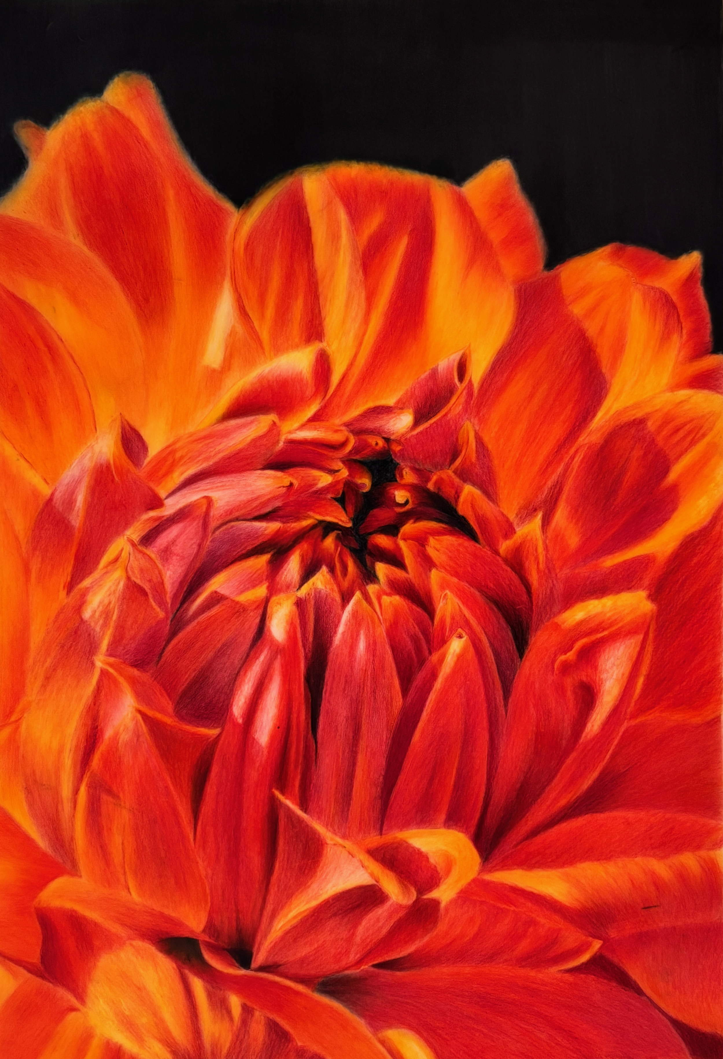Vivid Bloom      (14 x 9.5)